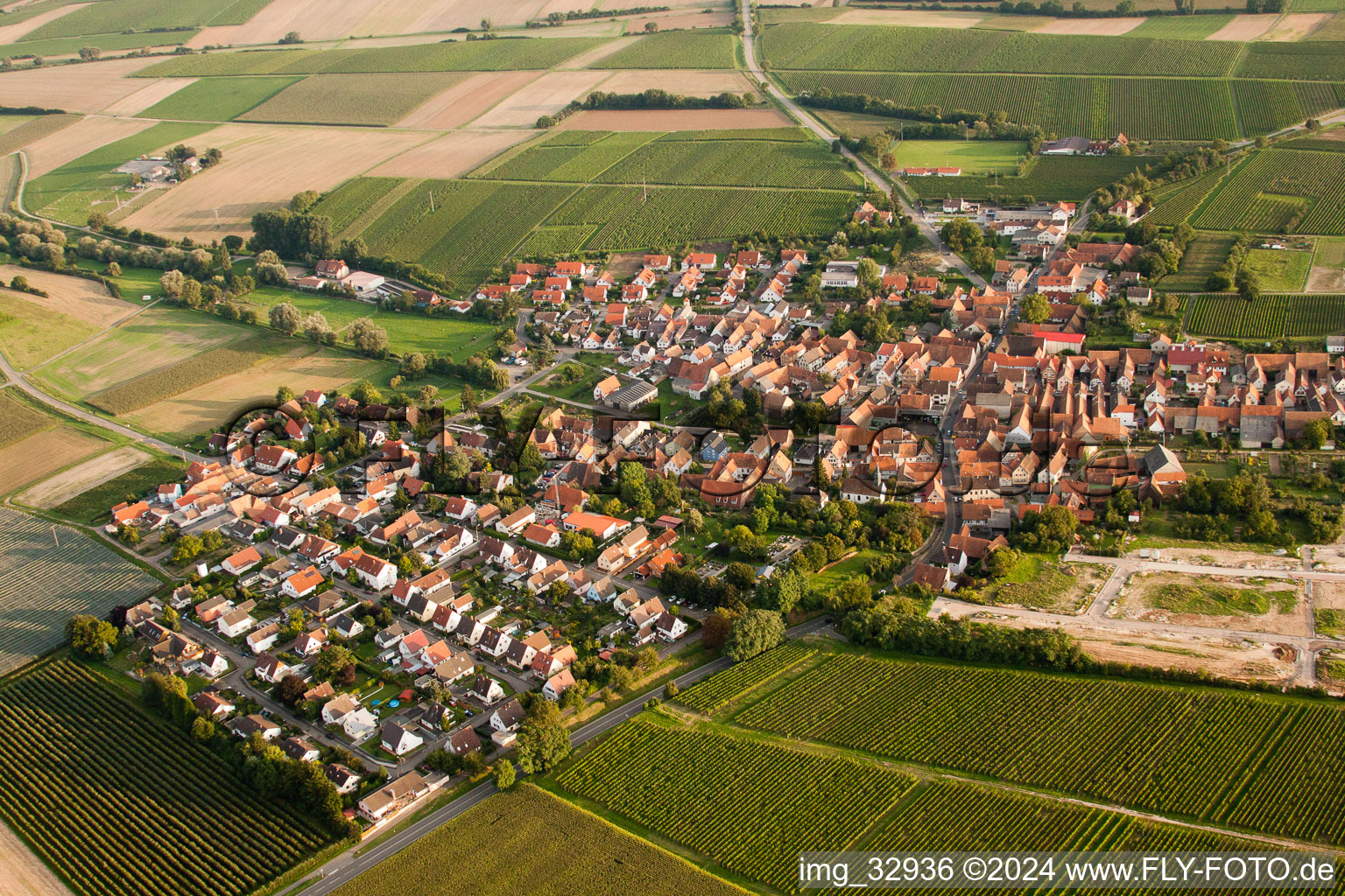 Impflingen dans le département Rhénanie-Palatinat, Allemagne vue du ciel