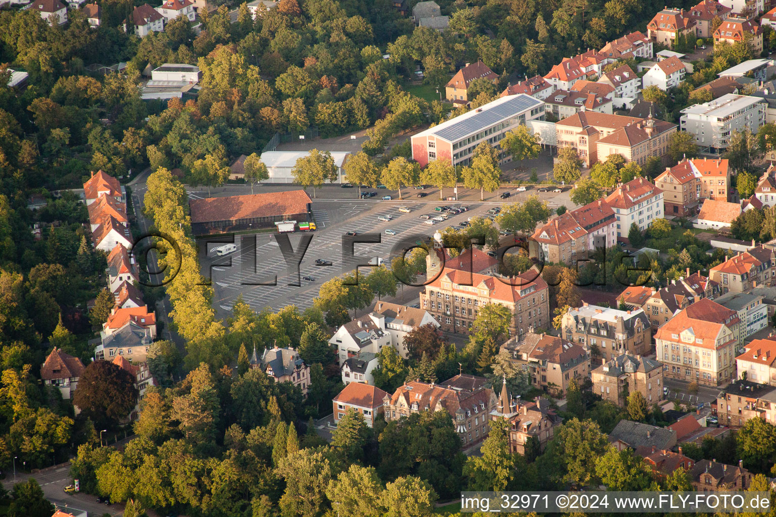 Landau in der Pfalz dans le département Rhénanie-Palatinat, Allemagne du point de vue du drone