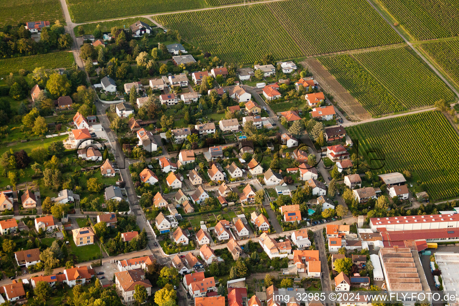 Vue aérienne de Max Slevogtstr à le quartier Godramstein in Landau in der Pfalz dans le département Rhénanie-Palatinat, Allemagne