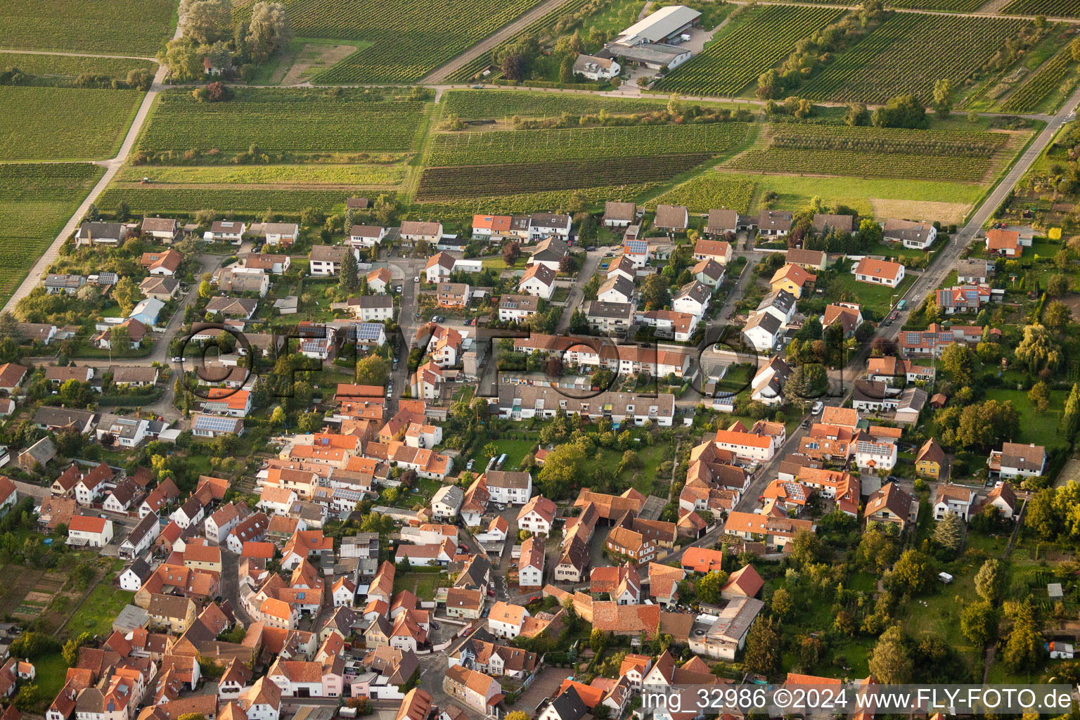 Vue aérienne de District des cépages à le quartier Godramstein in Landau in der Pfalz dans le département Rhénanie-Palatinat, Allemagne