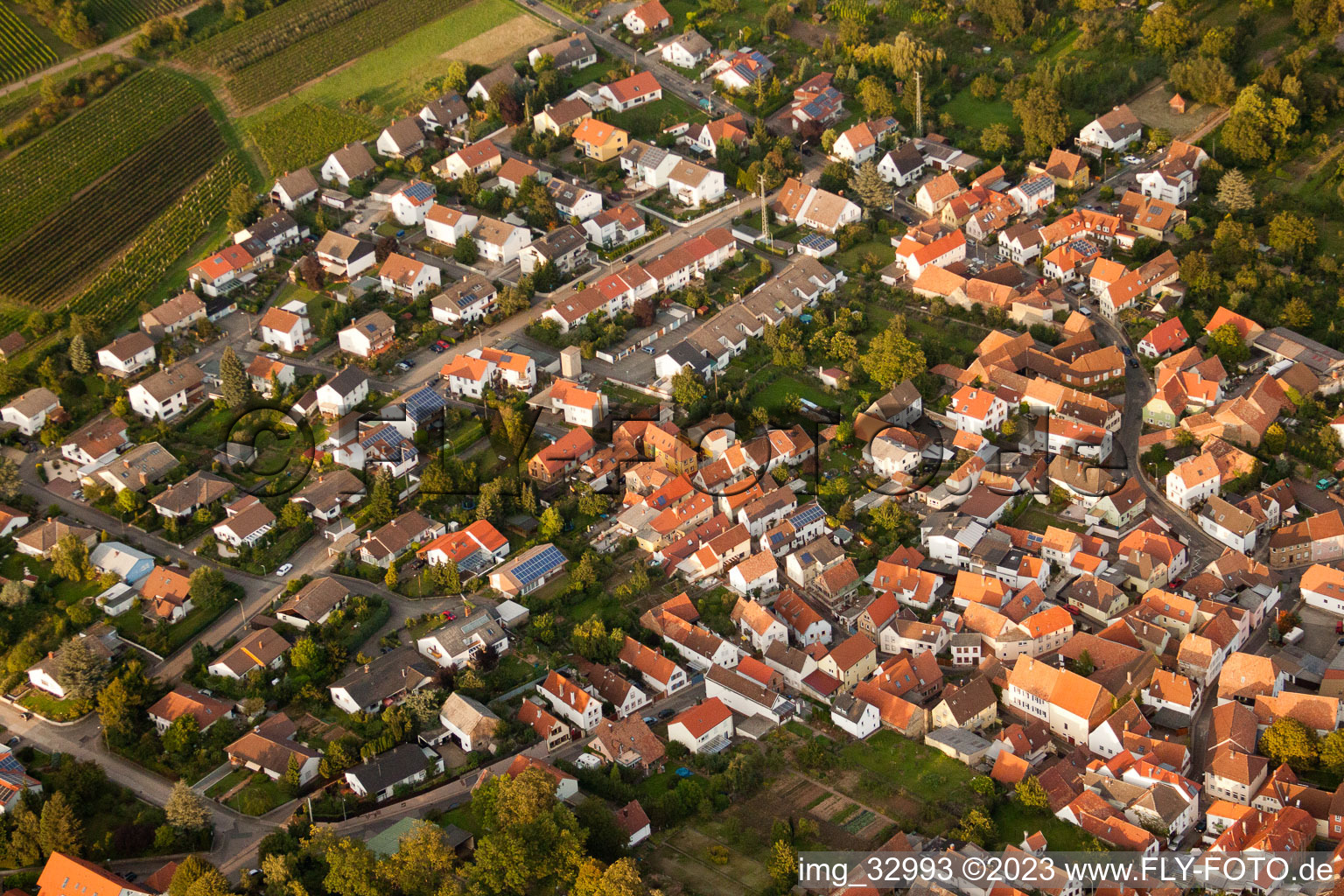 Vue aérienne de District des cépages à le quartier Godramstein in Landau in der Pfalz dans le département Rhénanie-Palatinat, Allemagne