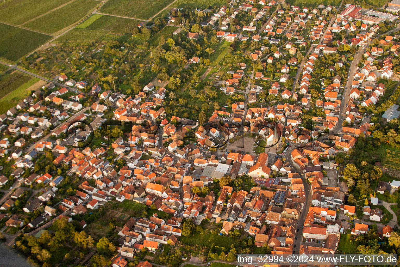 Quartier Godramstein in Landau in der Pfalz dans le département Rhénanie-Palatinat, Allemagne vue du ciel