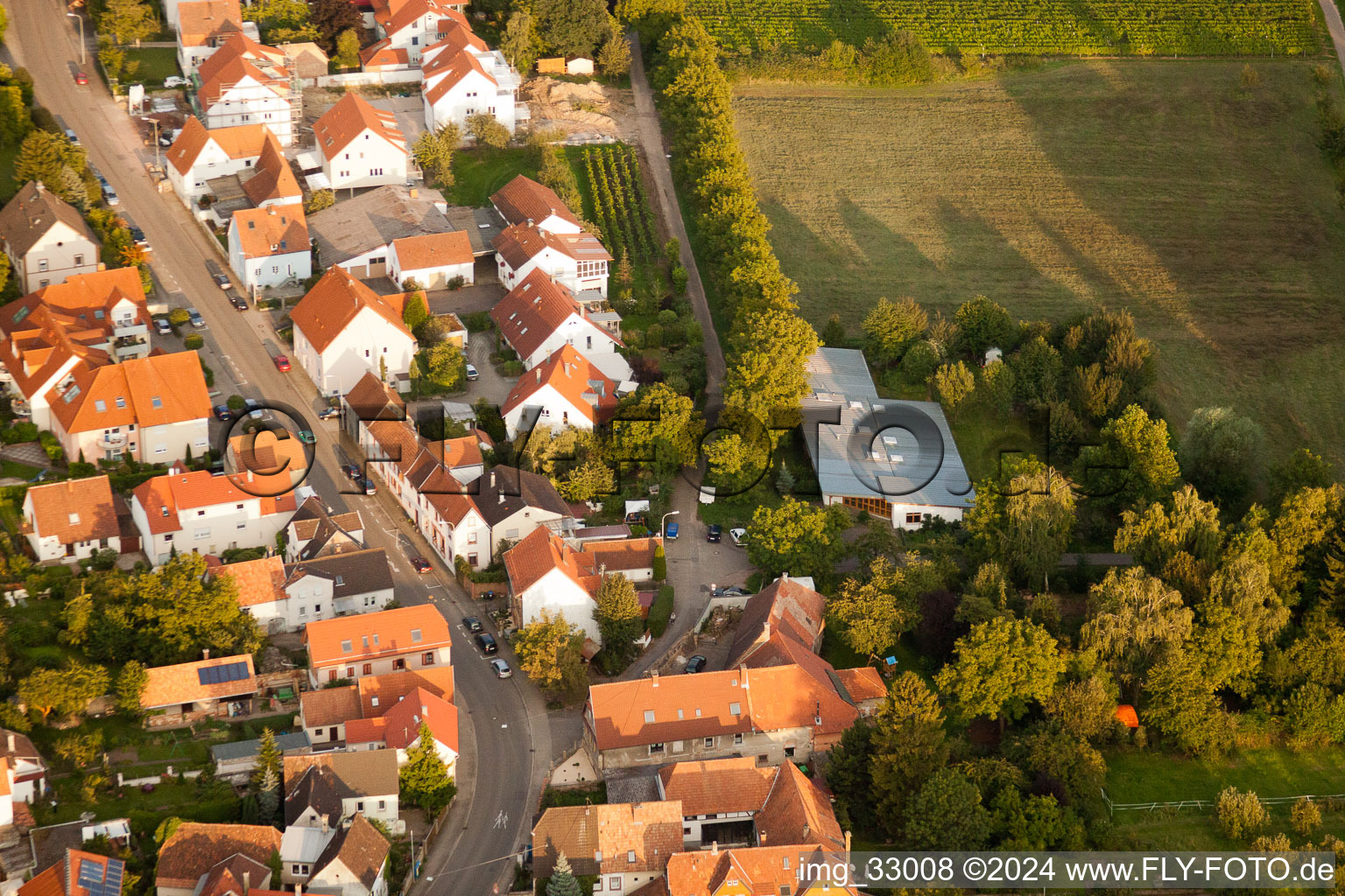 Image drone de Quartier Godramstein in Landau in der Pfalz dans le département Rhénanie-Palatinat, Allemagne