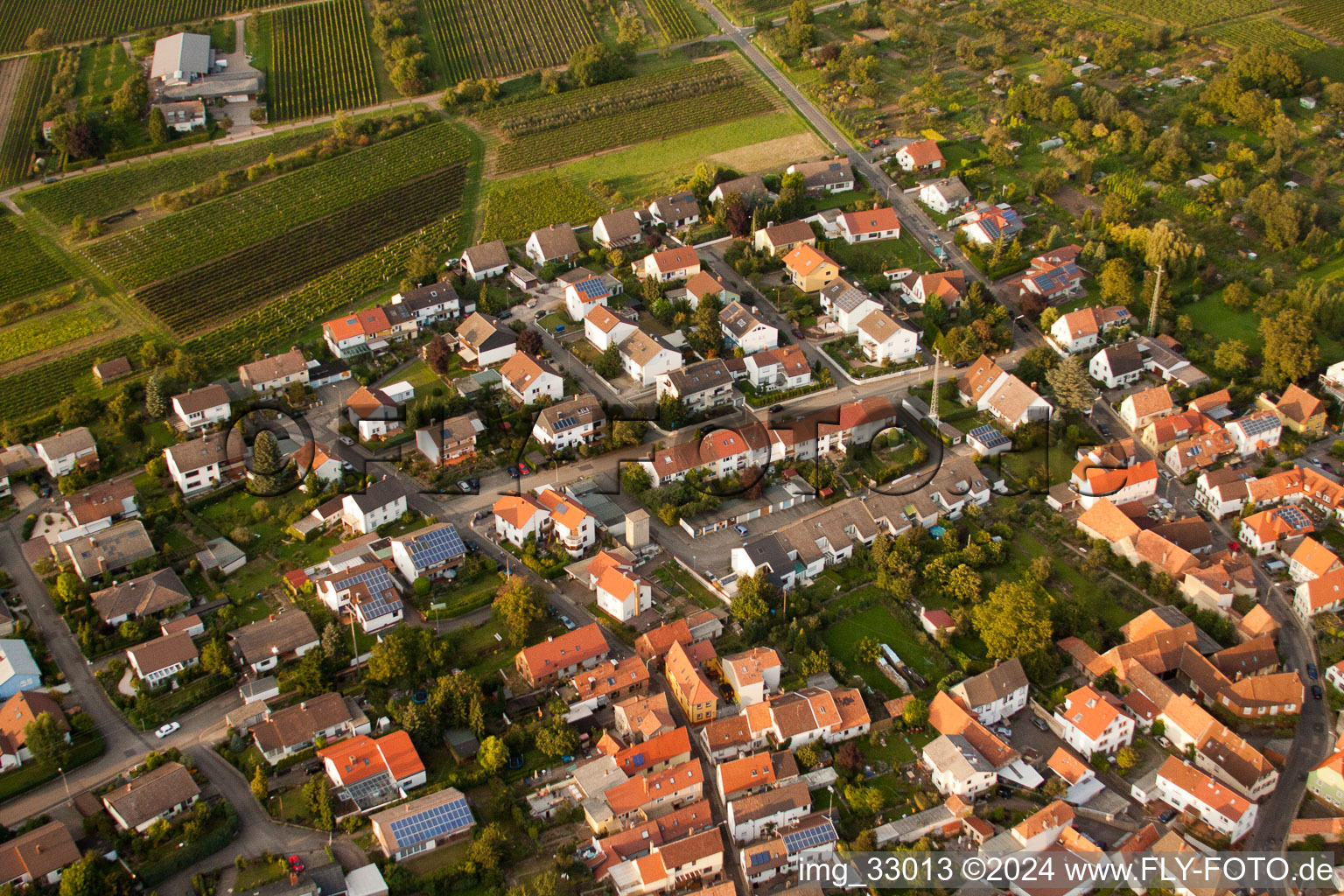 Photographie aérienne de District des cépages à le quartier Godramstein in Landau in der Pfalz dans le département Rhénanie-Palatinat, Allemagne