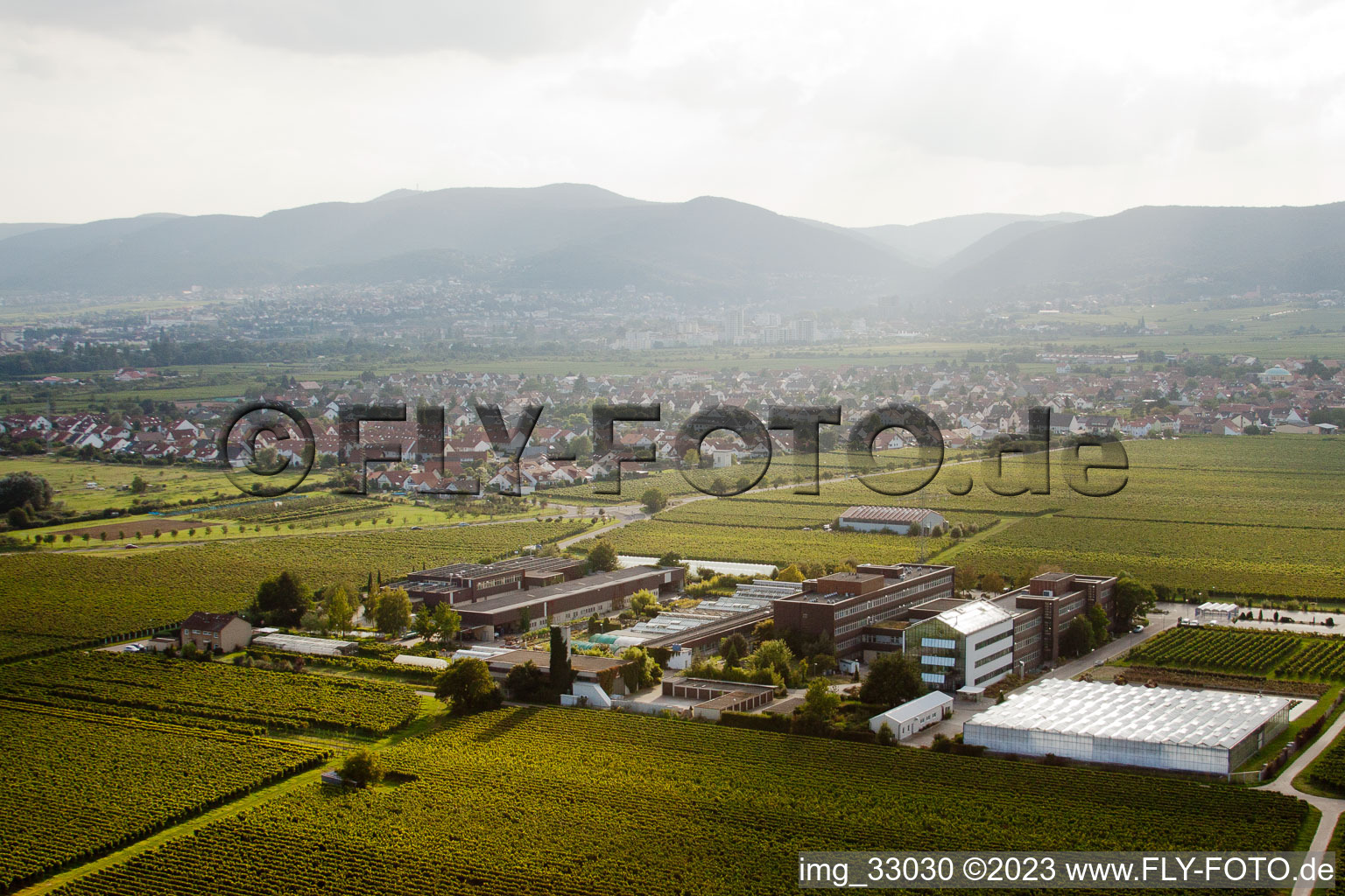 Vue oblique de RLP Agroscience à le quartier Mußbach in Neustadt an der Weinstraße dans le département Rhénanie-Palatinat, Allemagne