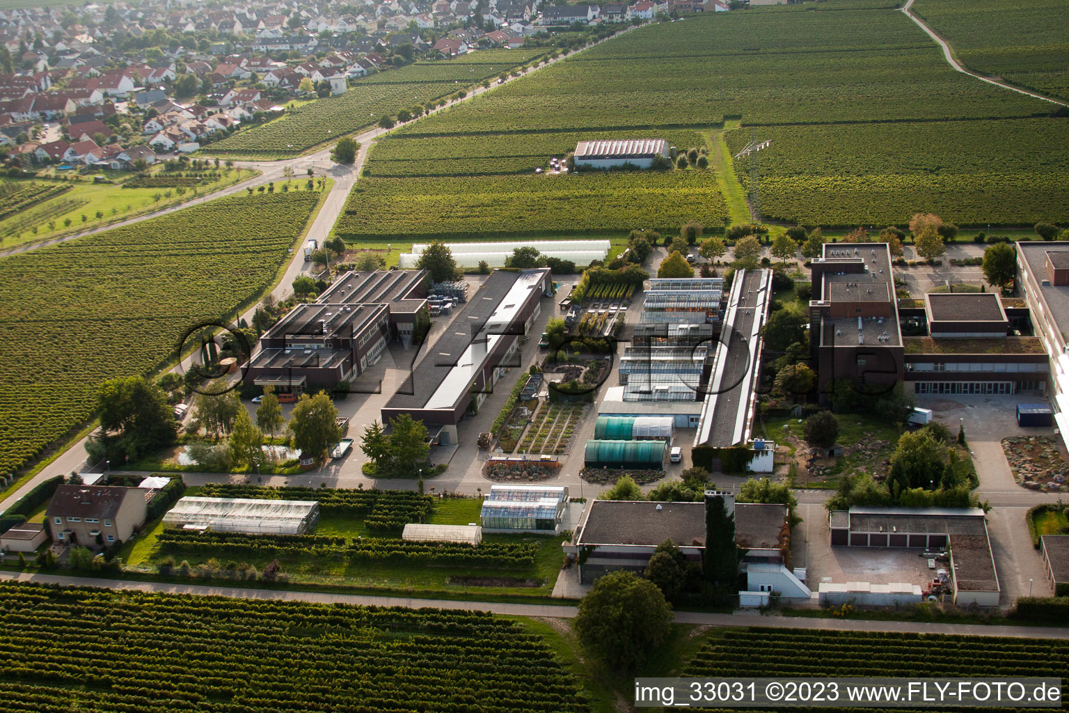 RLP Agroscience à le quartier Mußbach in Neustadt an der Weinstraße dans le département Rhénanie-Palatinat, Allemagne d'en haut