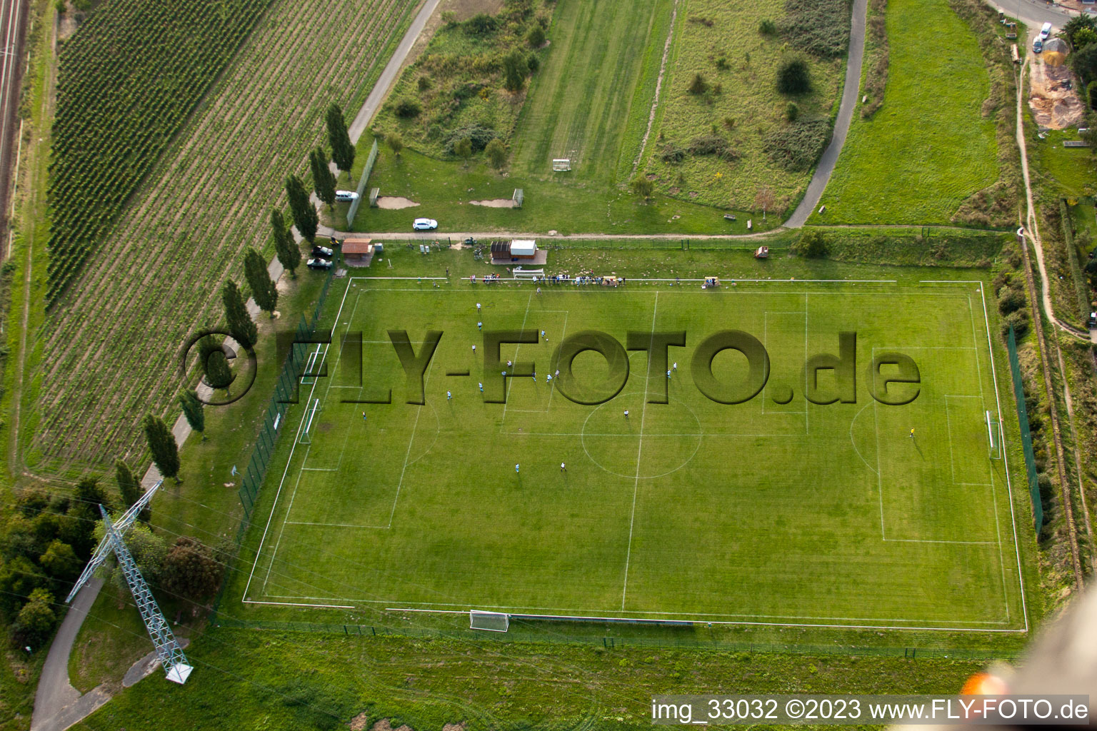 Vue aérienne de Sur la Weinstrasse, terrain de sport à le quartier Mußbach in Neustadt an der Weinstraße dans le département Rhénanie-Palatinat, Allemagne