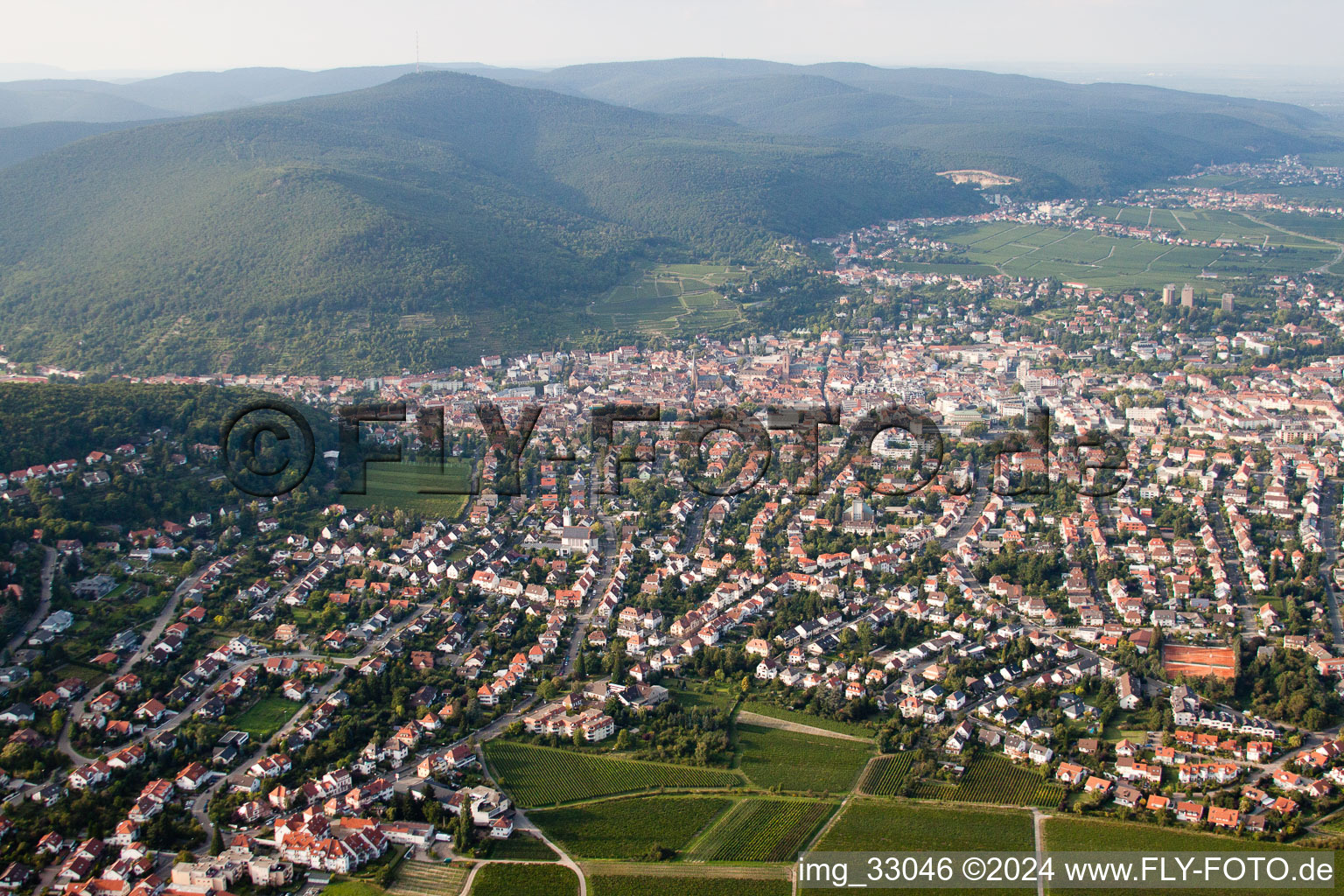 Photographie aérienne de Du sud à Neustadt an der Weinstraße dans le département Rhénanie-Palatinat, Allemagne