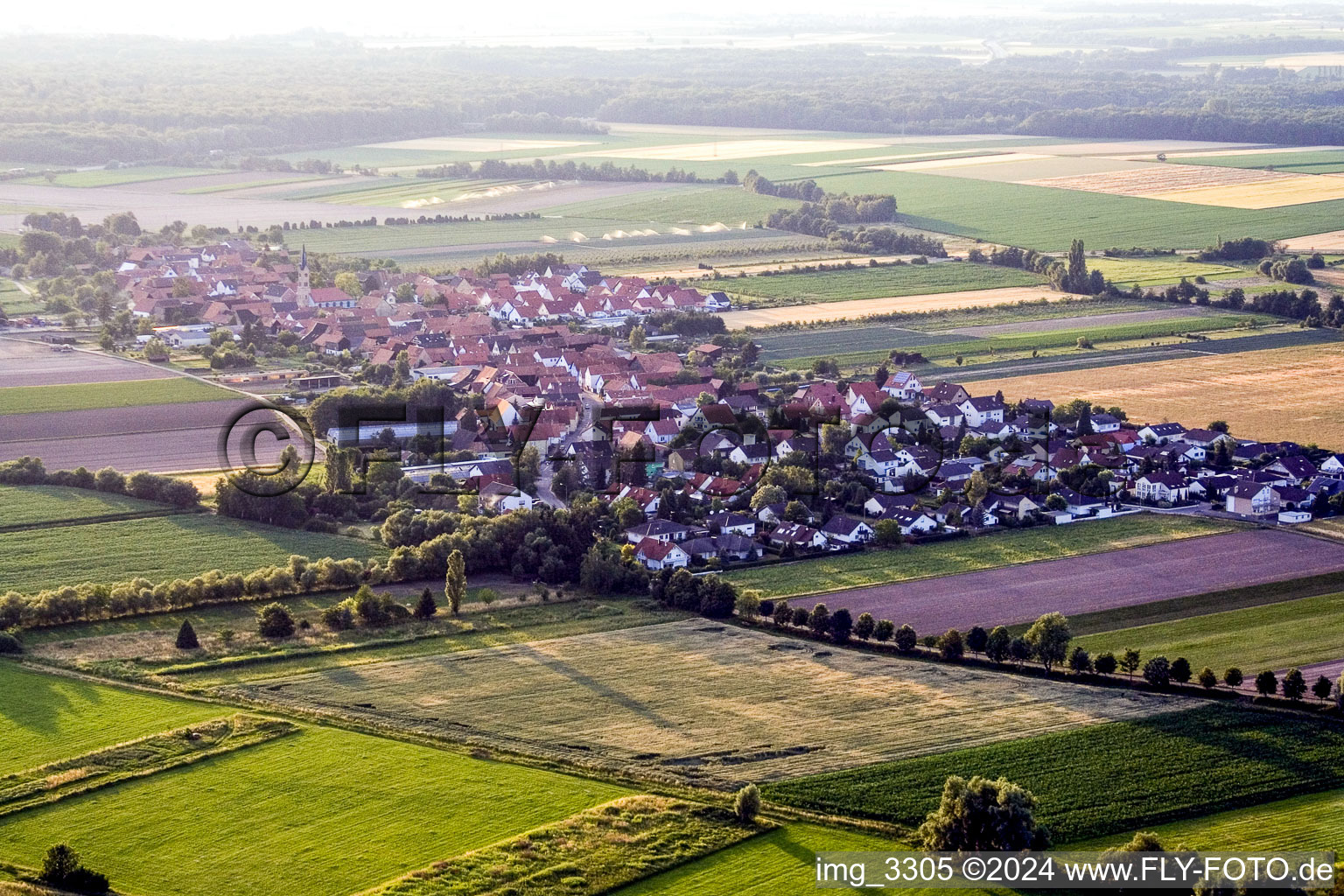 Vue aérienne de Du sud-est à Erlenbach bei Kandel dans le département Rhénanie-Palatinat, Allemagne