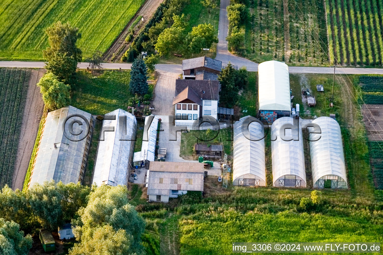 Vue aérienne de Erlenhof à Erlenbach bei Kandel dans le département Rhénanie-Palatinat, Allemagne