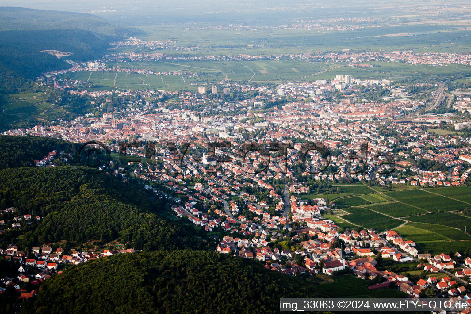 Vue oblique de Du sud à Neustadt an der Weinstraße dans le département Rhénanie-Palatinat, Allemagne