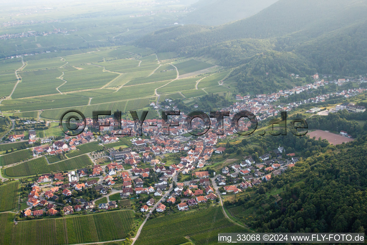 Vue d'oiseau de Saint-Martin à Sankt Martin dans le département Rhénanie-Palatinat, Allemagne