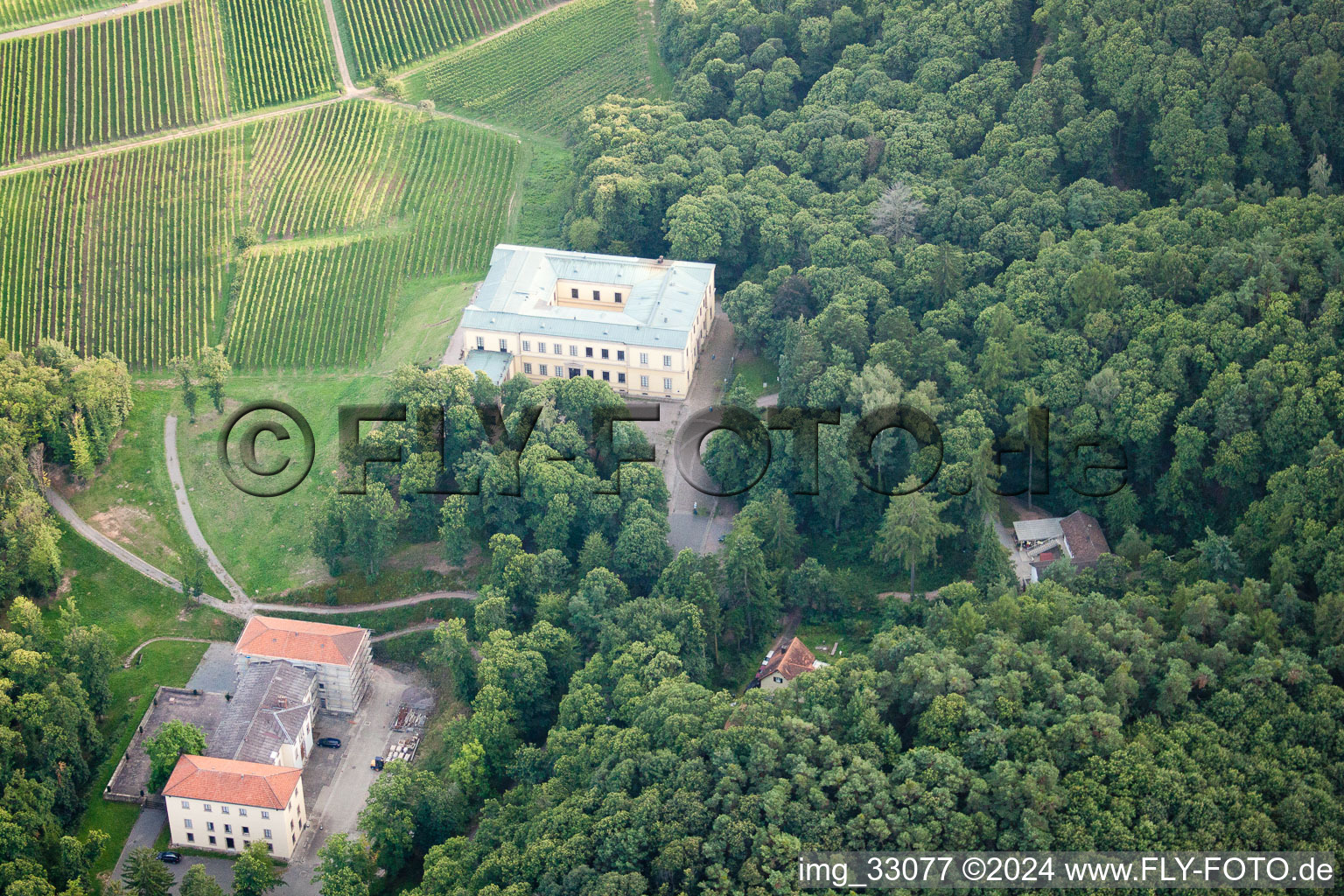 Vue aérienne de Villa Ludwigshöhe à Edenkoben dans le département Rhénanie-Palatinat, Allemagne