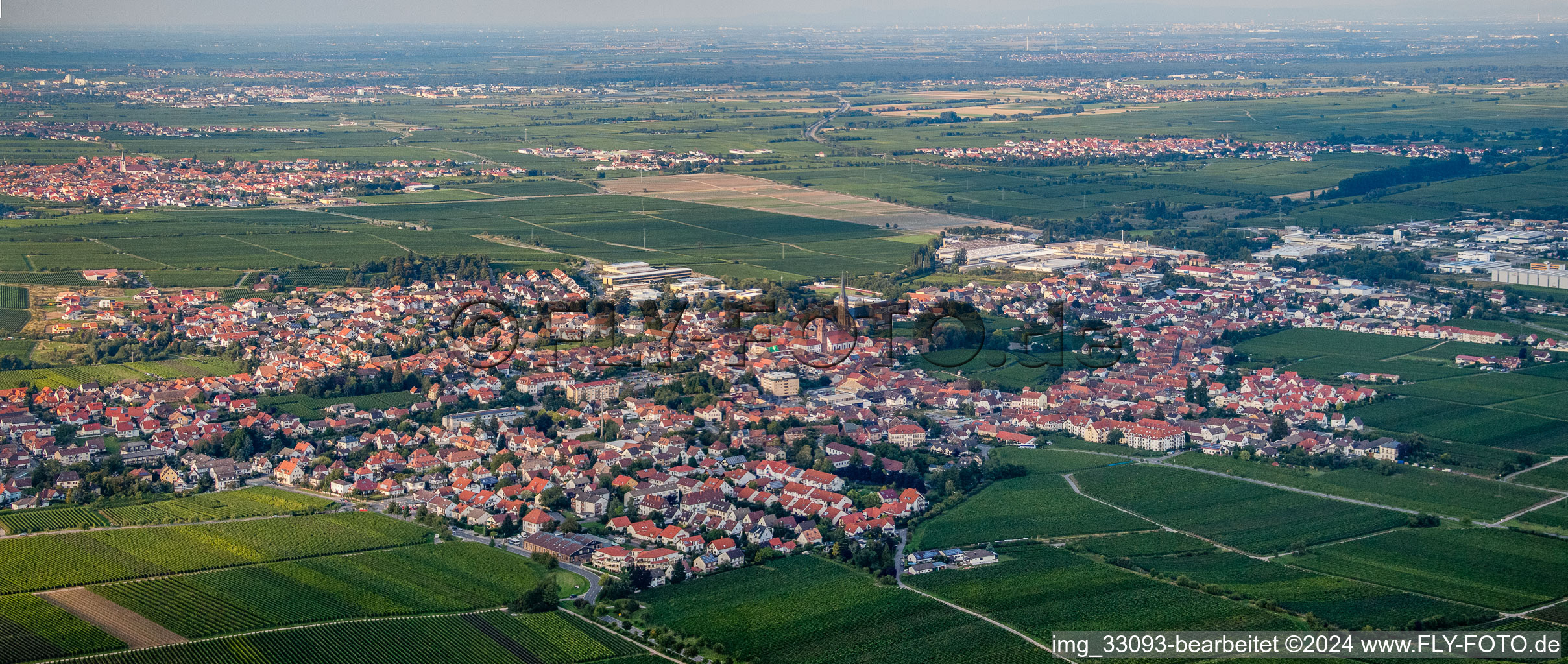 Vue aérienne de Vue panoramique sur les rues et les maisons des quartiers résidentiels à Edenkoben dans le département Rhénanie-Palatinat, Allemagne