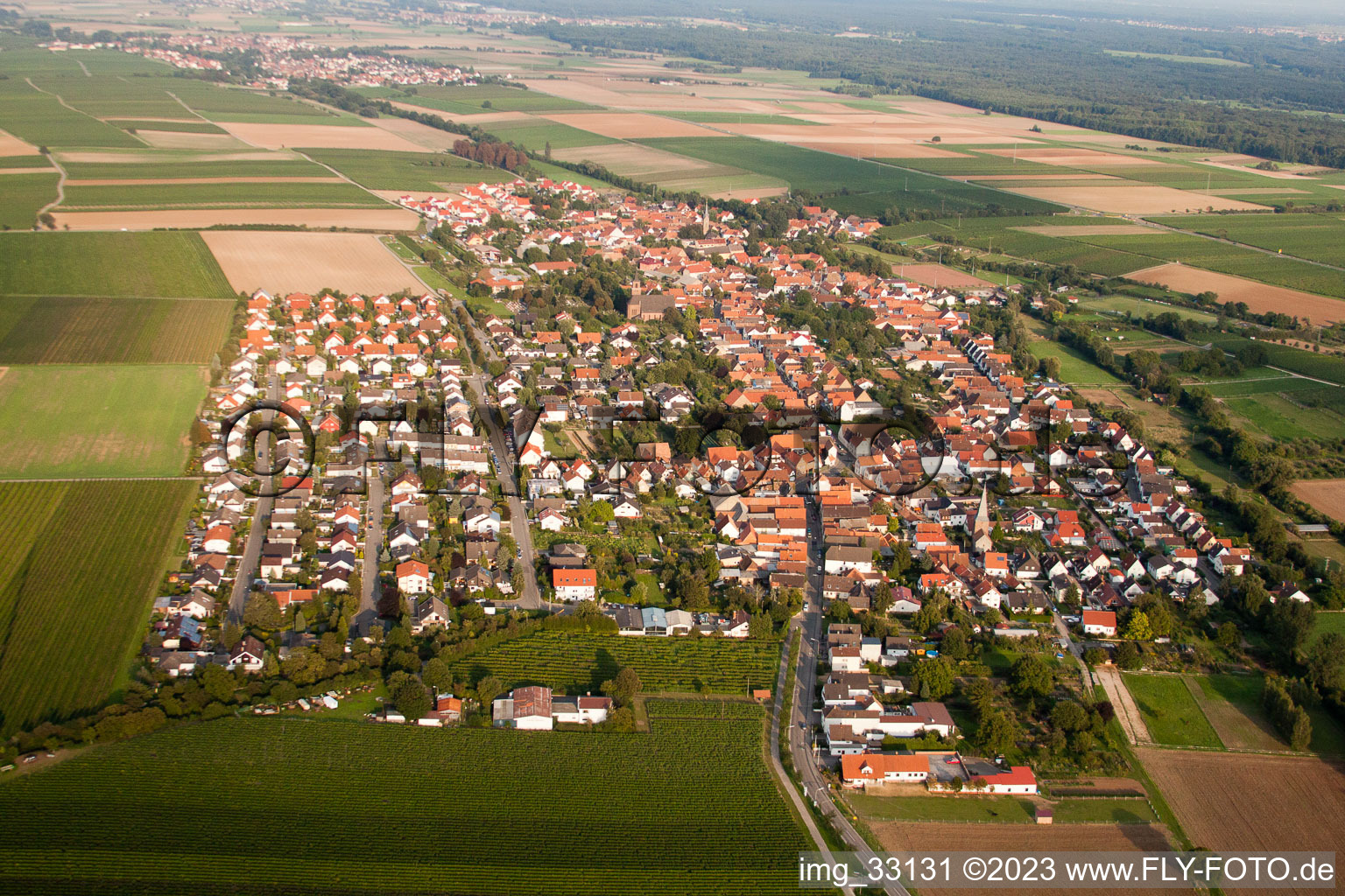 Vue aérienne de Essingen dans le département Rhénanie-Palatinat, Allemagne