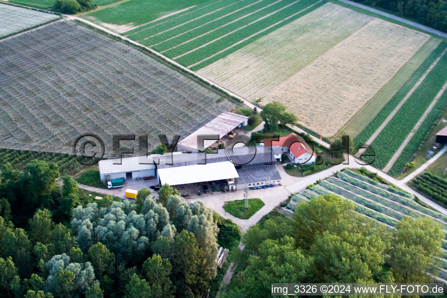 Vue aérienne de Zirkershof à Rheinzabern dans le département Rhénanie-Palatinat, Allemagne