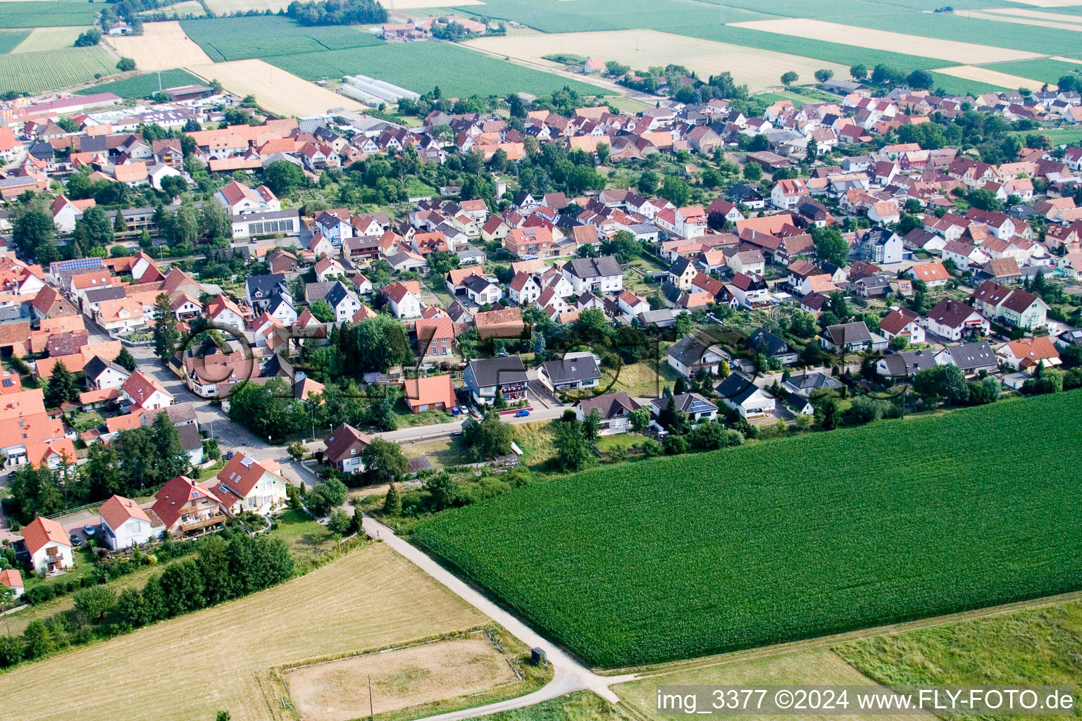 Vue aérienne de Dans le jardin au calme à Minfeld dans le département Rhénanie-Palatinat, Allemagne