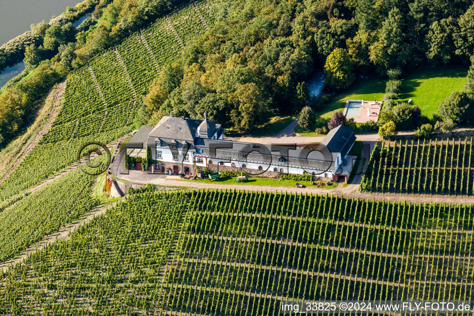 Vue aérienne de Paysage viticole avec le domaine viticole du château de Saarstein au-dessus de la Sarre dans l'État fédéral à Serrig dans le département Rhénanie-Palatinat, Allemagne