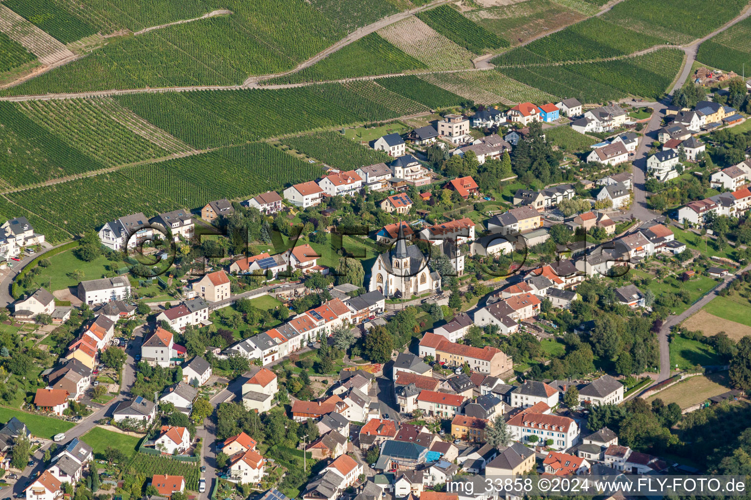 Vue aérienne de Vignobles au-dessus de la Sarre à Ockfen dans le département Rhénanie-Palatinat, Allemagne