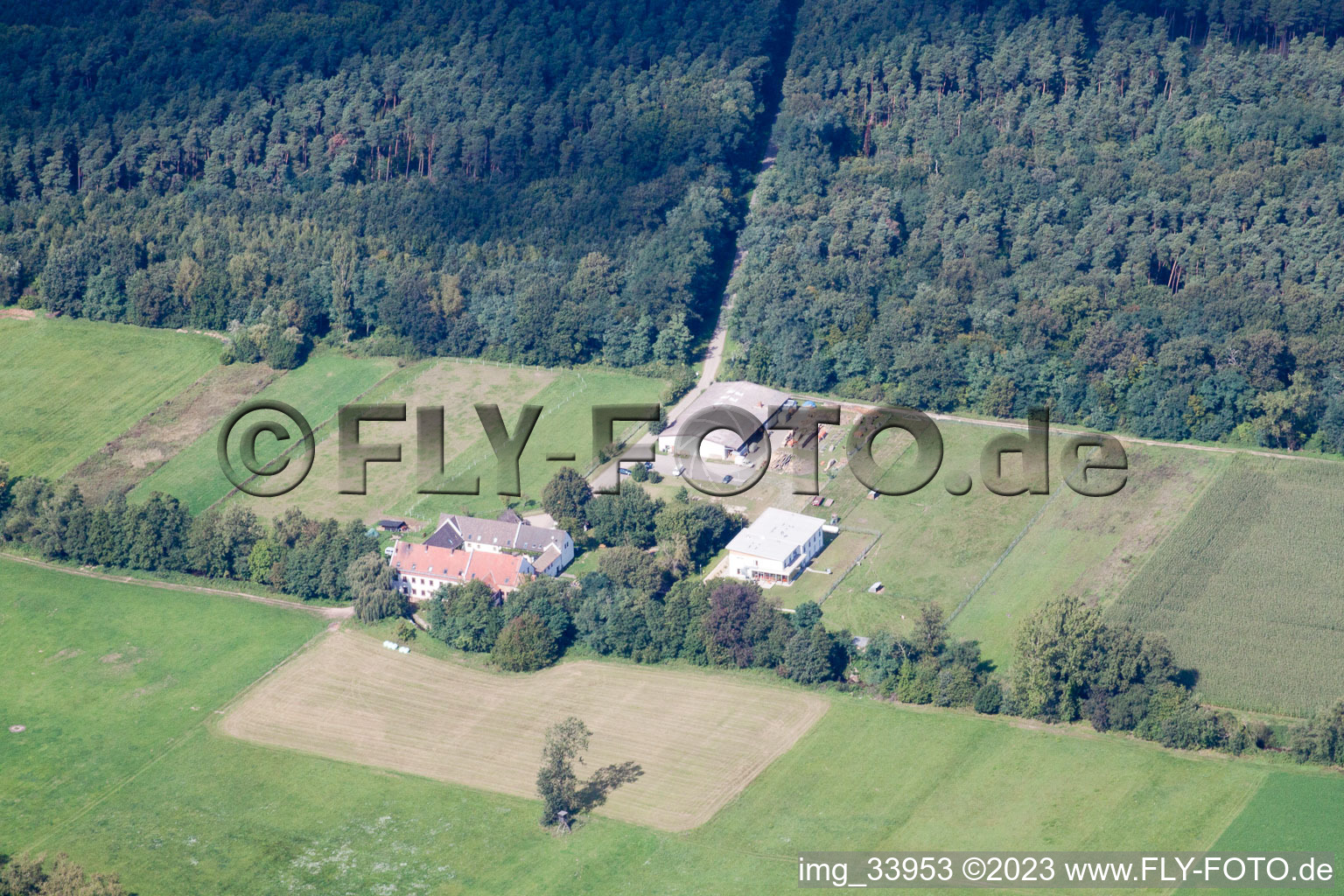 Vue aérienne de Ludwigsmühle à Lustadt dans le département Rhénanie-Palatinat, Allemagne