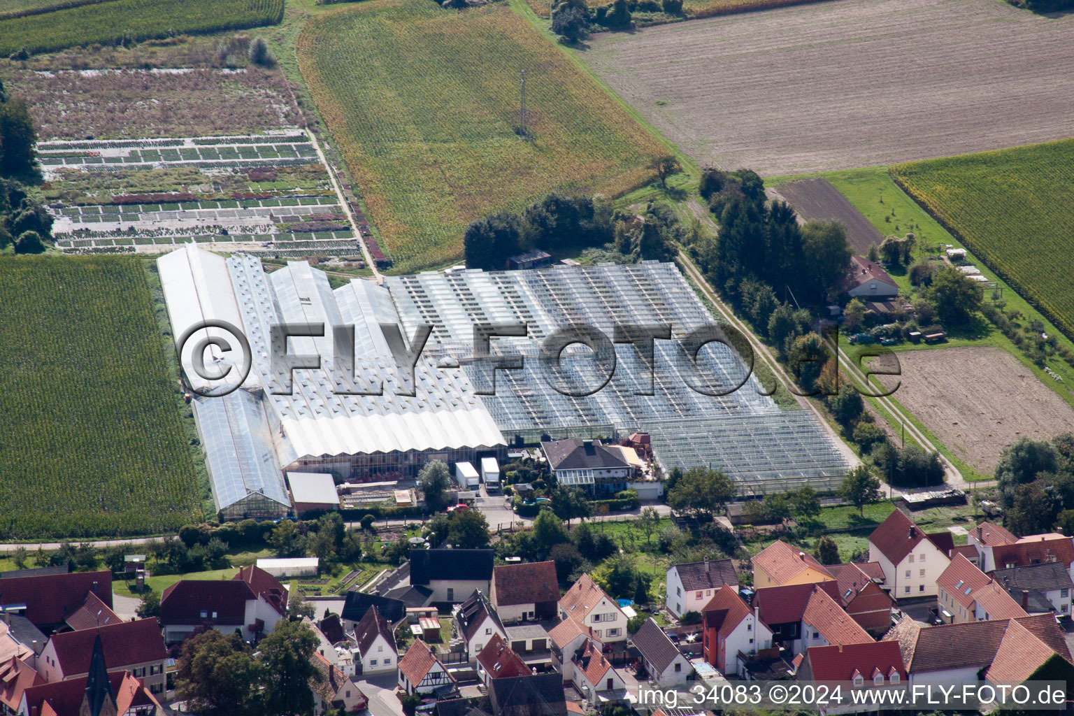 Vue aérienne de Jardinage sur Ziegelstr à le quartier Sondernheim in Germersheim dans le département Rhénanie-Palatinat, Allemagne