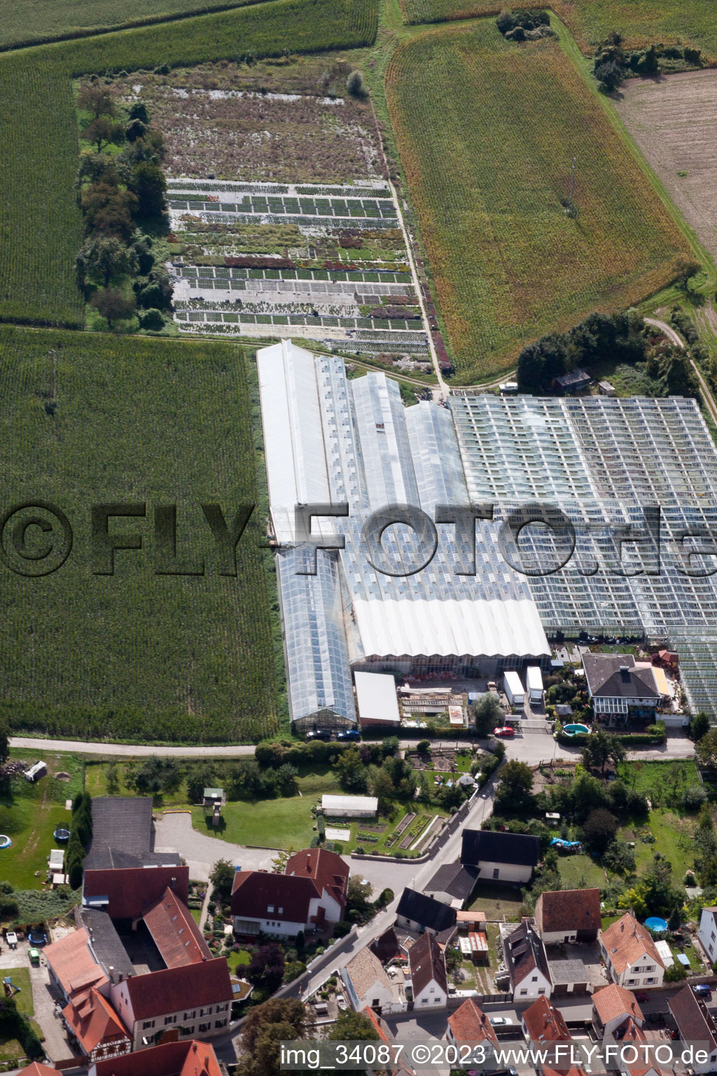 Vue aérienne de Jardinage sur Ziegelstr à le quartier Sondernheim in Germersheim dans le département Rhénanie-Palatinat, Allemagne
