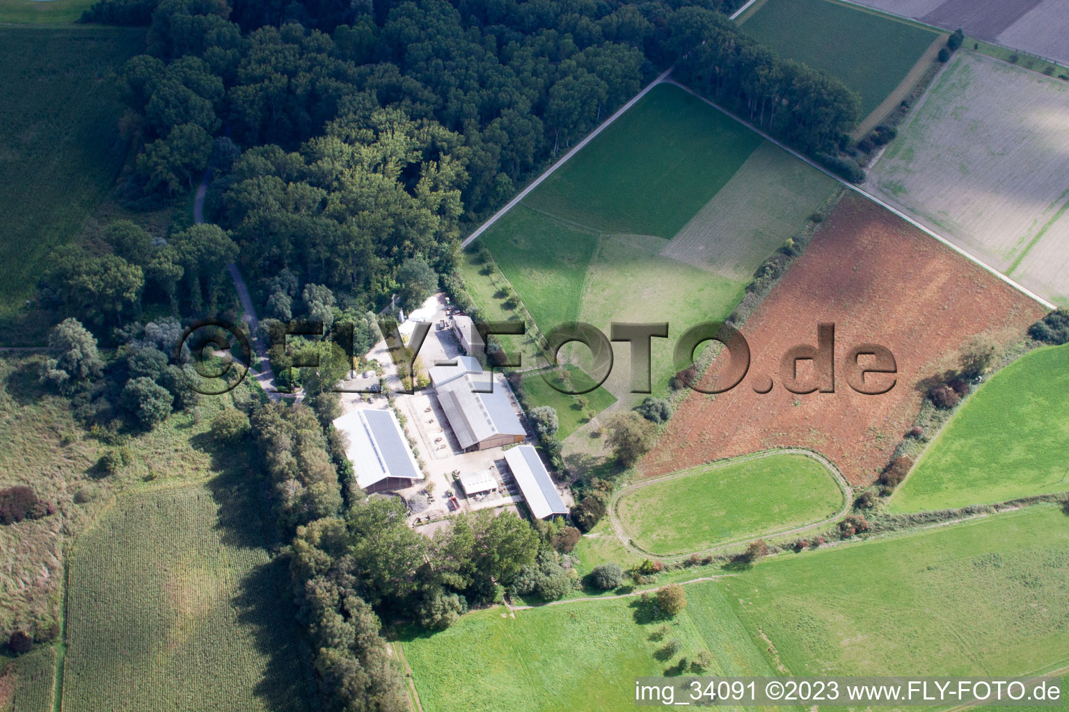 Vue aérienne de Kennelhof à le quartier Sondernheim in Germersheim dans le département Rhénanie-Palatinat, Allemagne