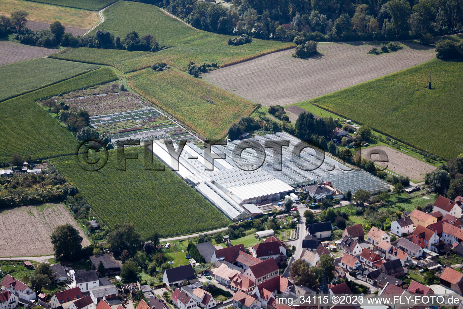 Photographie aérienne de Jardinage sur Ziegelstr à le quartier Sondernheim in Germersheim dans le département Rhénanie-Palatinat, Allemagne