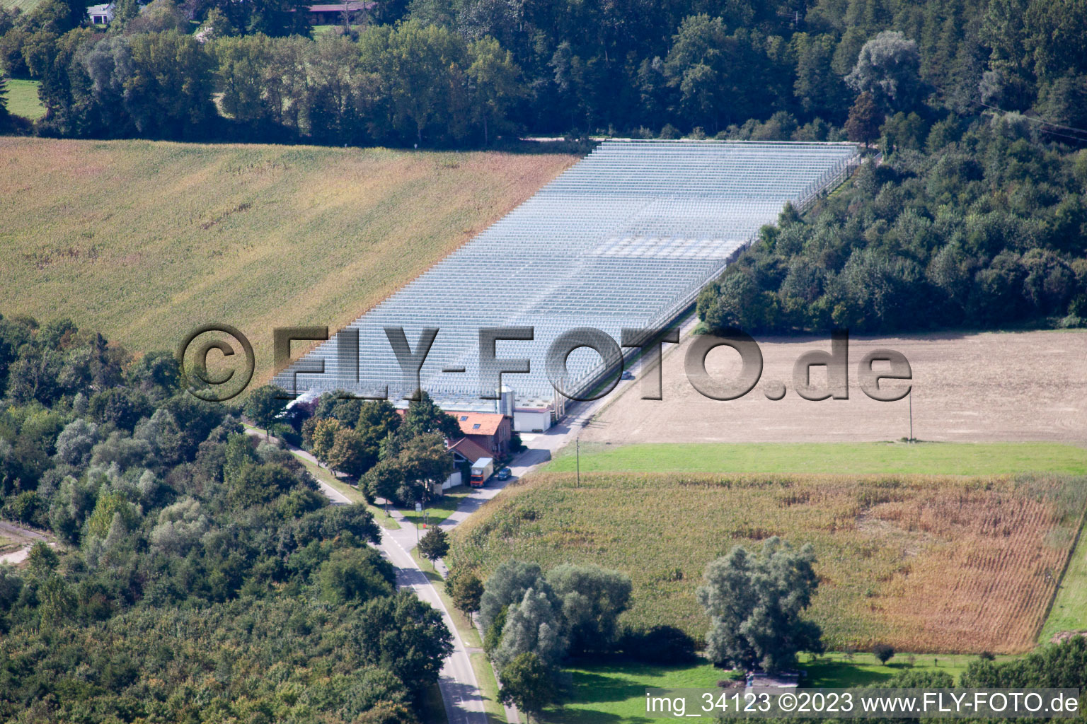 Vue aérienne de Crèche Klaus et Frank Mildenberger à le quartier Sondernheim in Germersheim dans le département Rhénanie-Palatinat, Allemagne