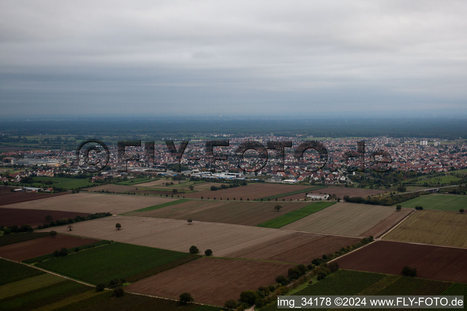 Vue oblique de Quartier Dannstadt in Dannstadt-Schauernheim dans le département Rhénanie-Palatinat, Allemagne