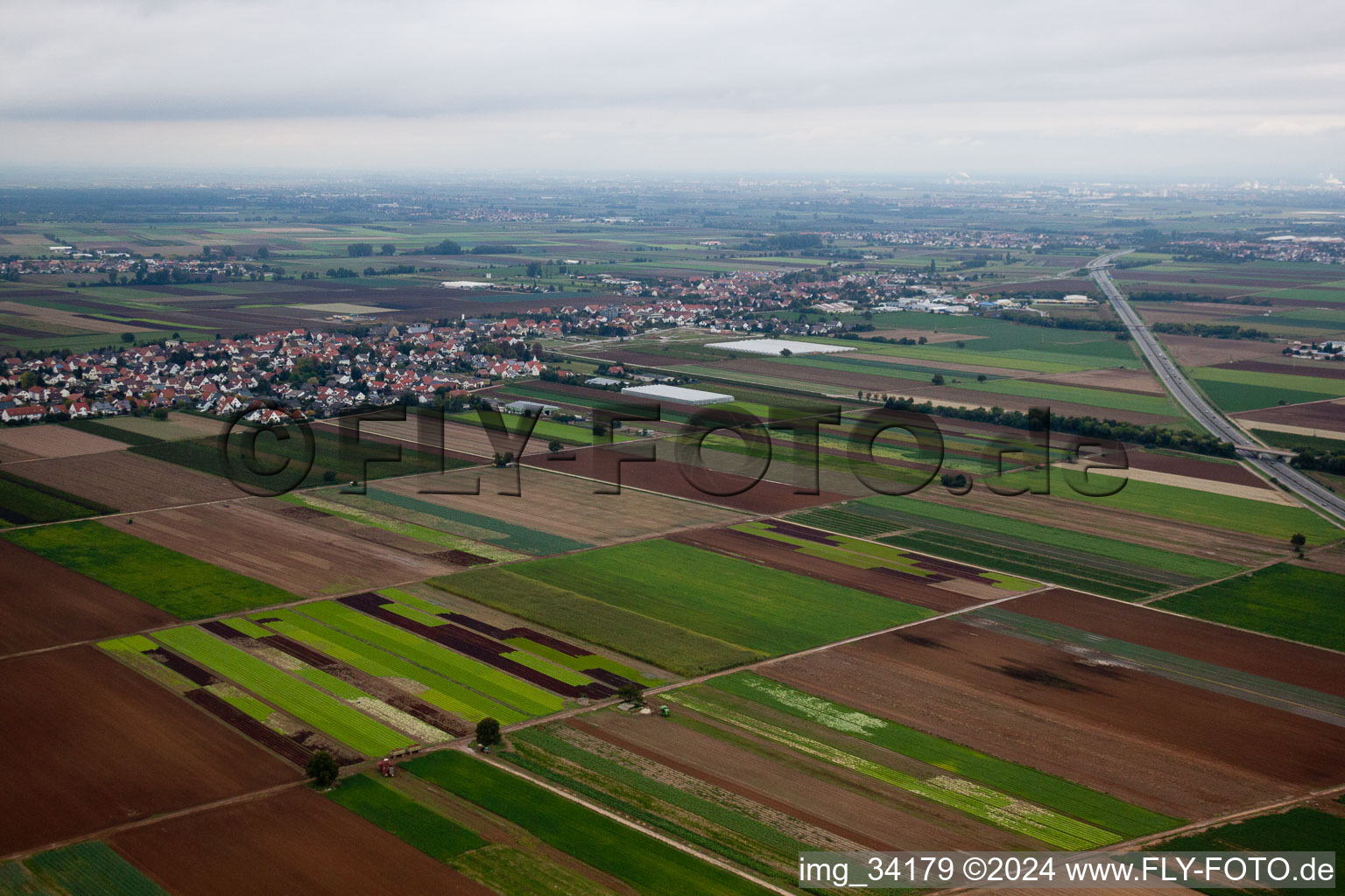 Photographie aérienne de Quartier Assenheim in Hochdorf-Assenheim dans le département Rhénanie-Palatinat, Allemagne