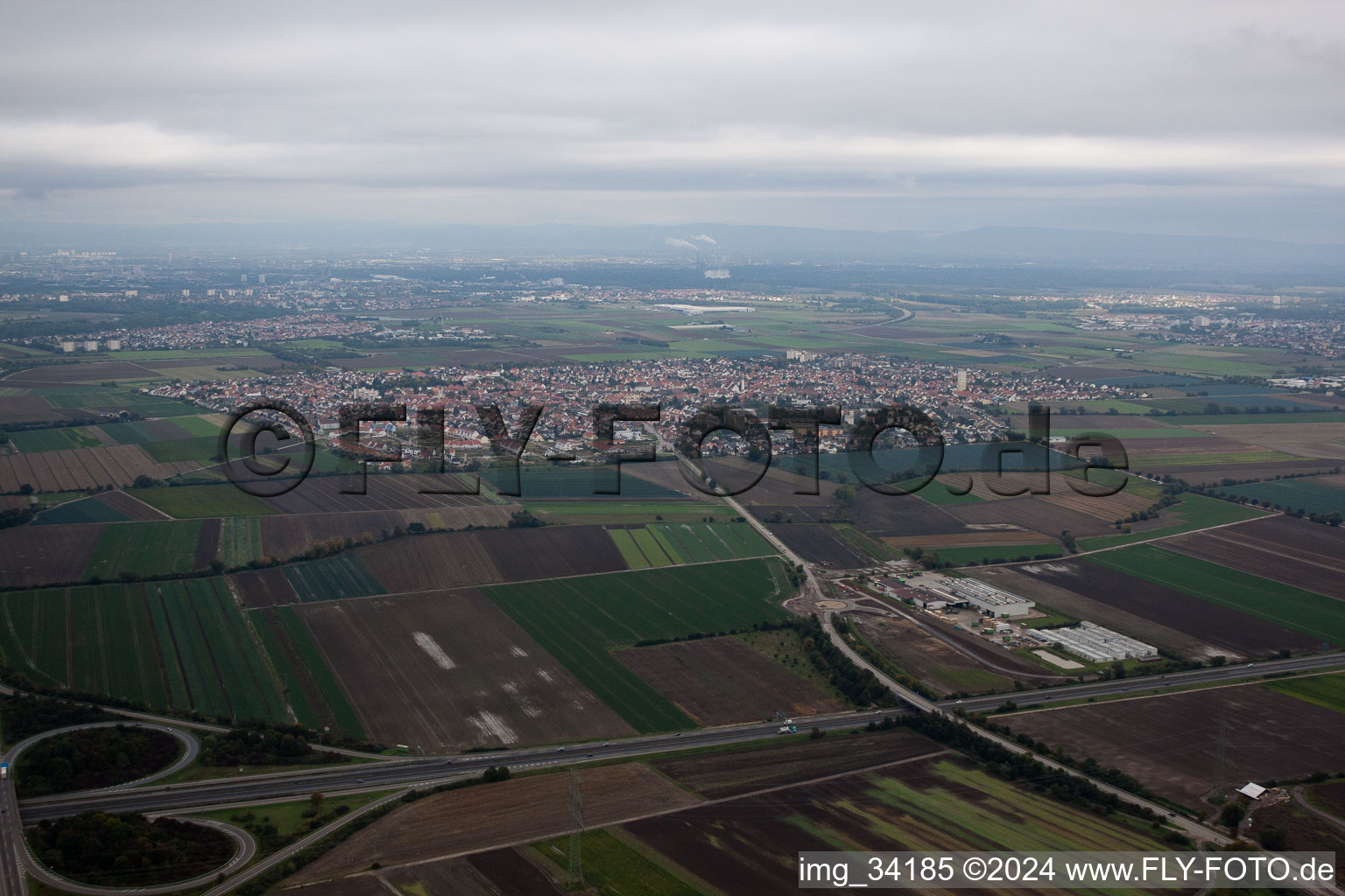 Vue d'oiseau de Mutterstadt dans le département Rhénanie-Palatinat, Allemagne