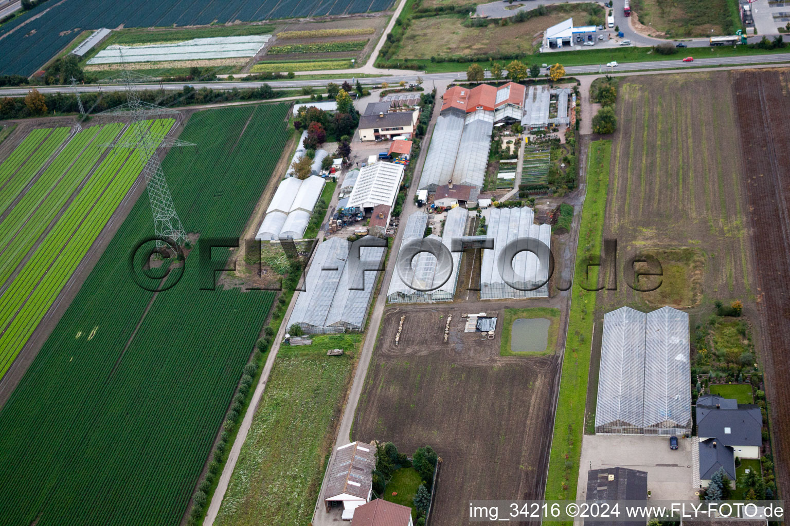 Maxdorf dans le département Rhénanie-Palatinat, Allemagne vue d'en haut