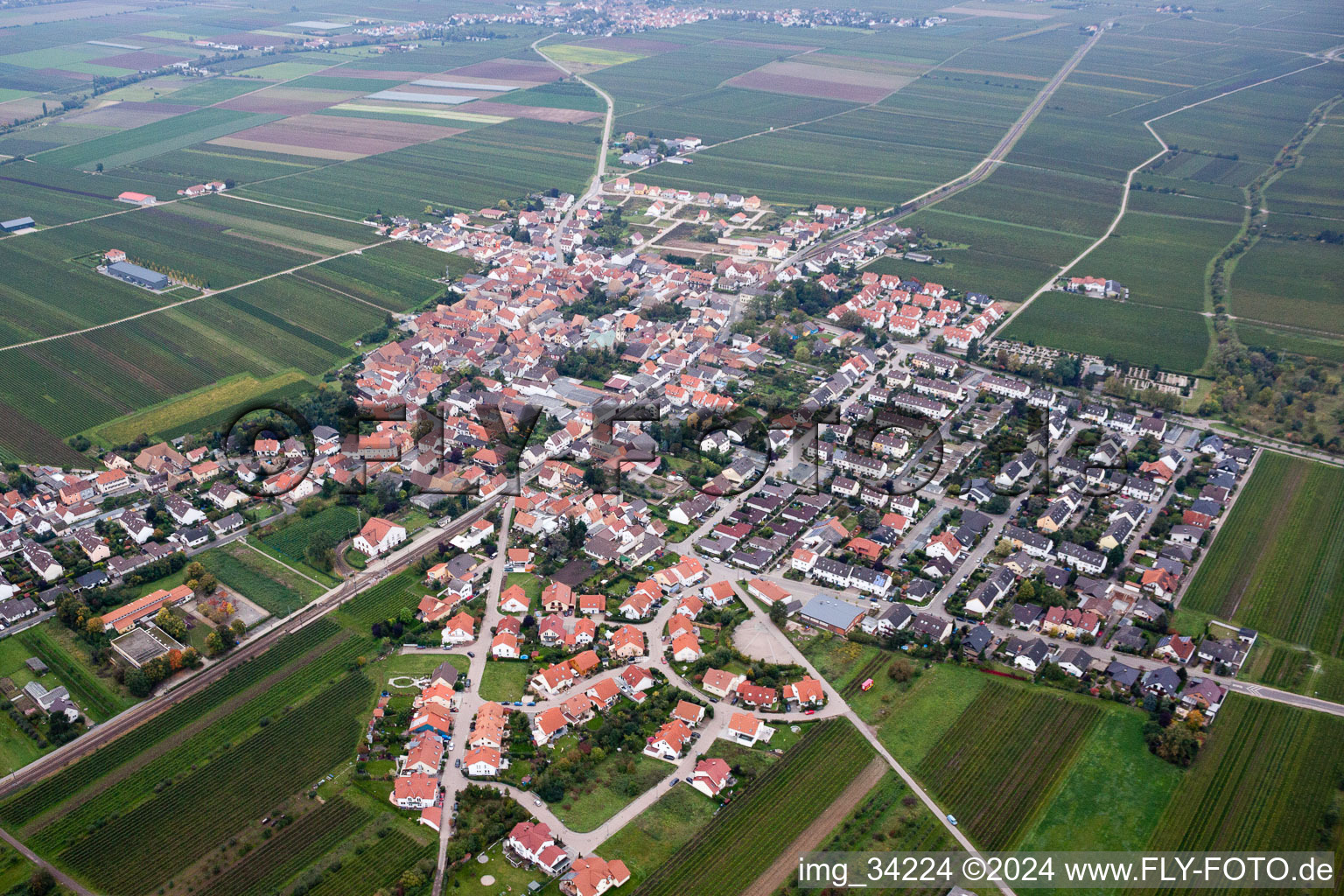 Vue d'oiseau de Ellerstadt dans le département Rhénanie-Palatinat, Allemagne