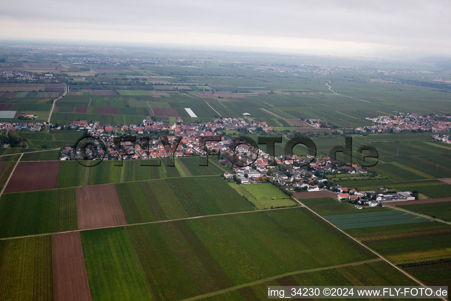 Enregistrement par drone de Ellerstadt dans le département Rhénanie-Palatinat, Allemagne