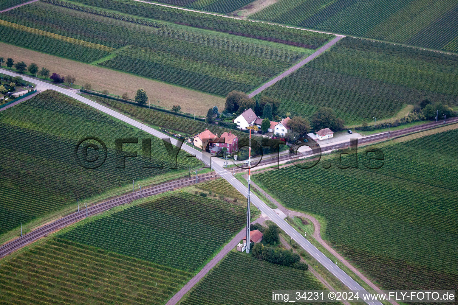 Gönnheim dans le département Rhénanie-Palatinat, Allemagne du point de vue du drone