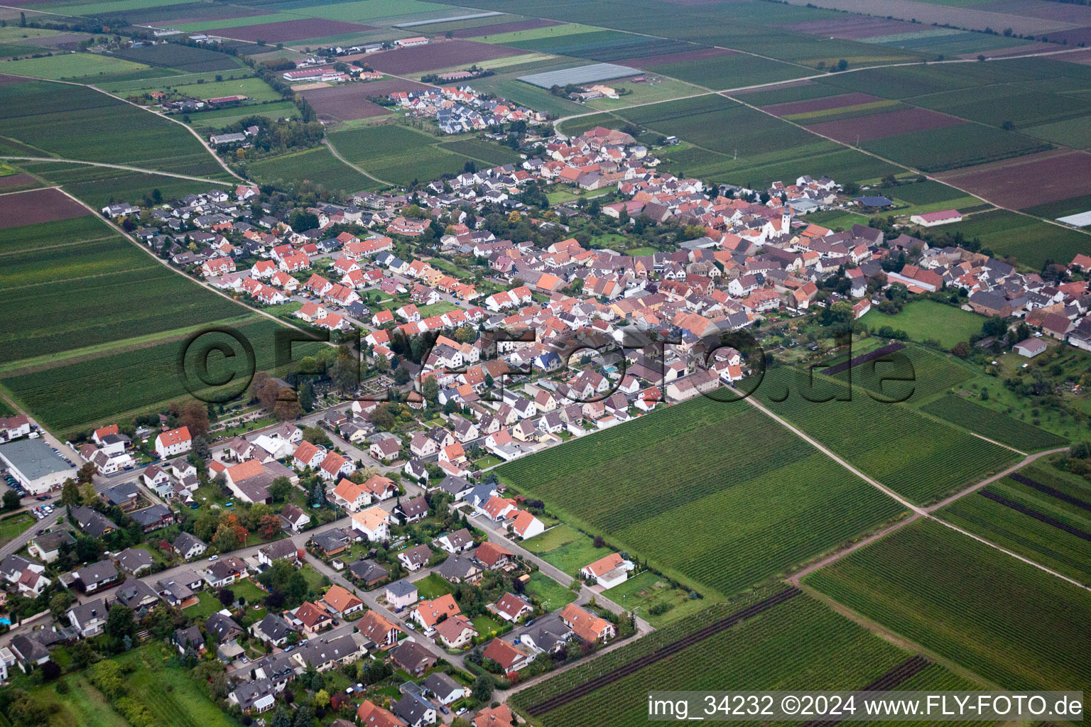 Friedelsheim dans le département Rhénanie-Palatinat, Allemagne depuis l'avion