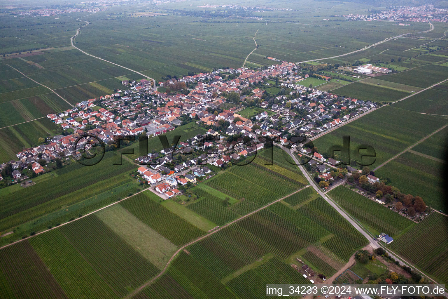 Vue d'oiseau de Friedelsheim dans le département Rhénanie-Palatinat, Allemagne