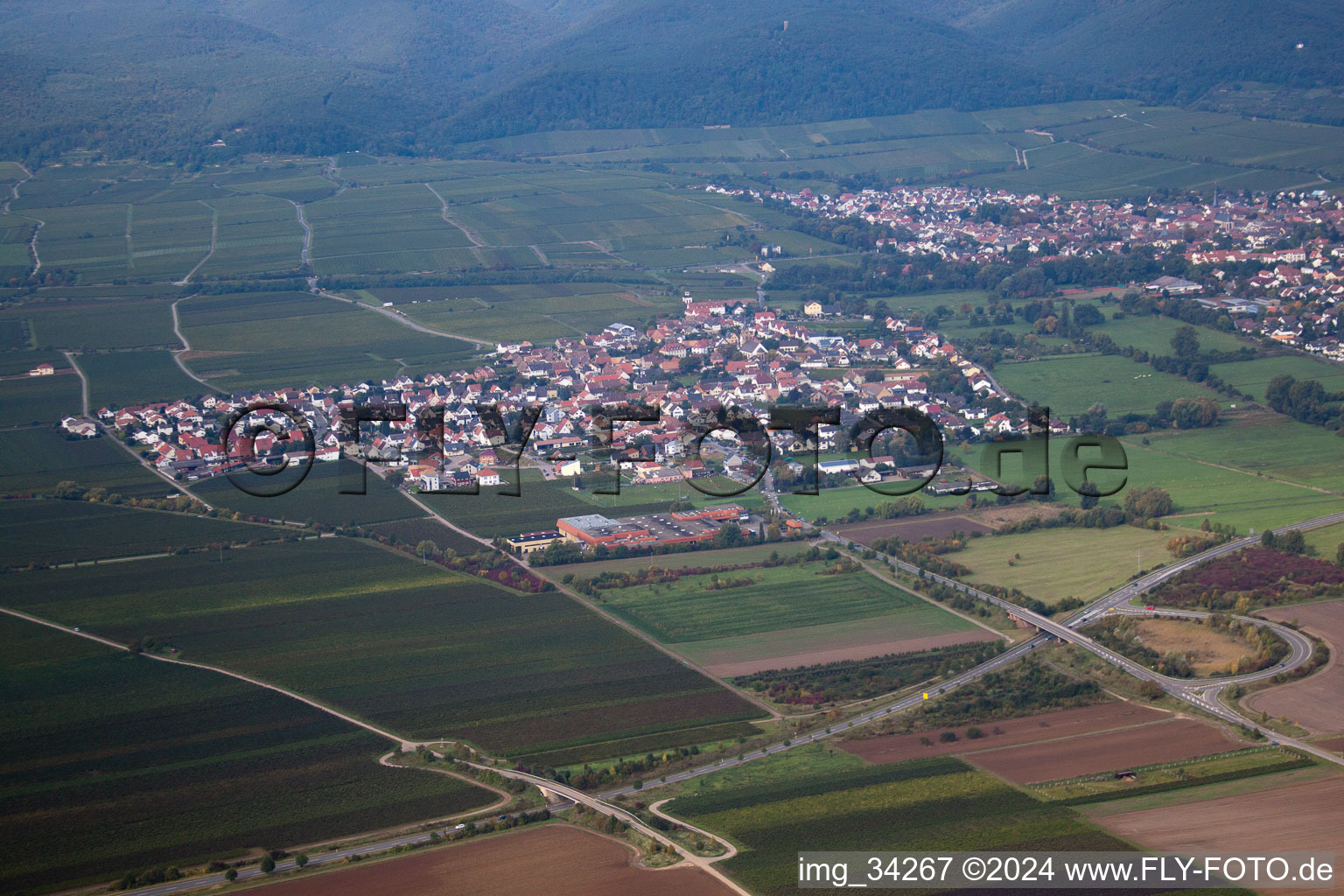 Photographie aérienne de Ruppertsberg dans le département Rhénanie-Palatinat, Allemagne