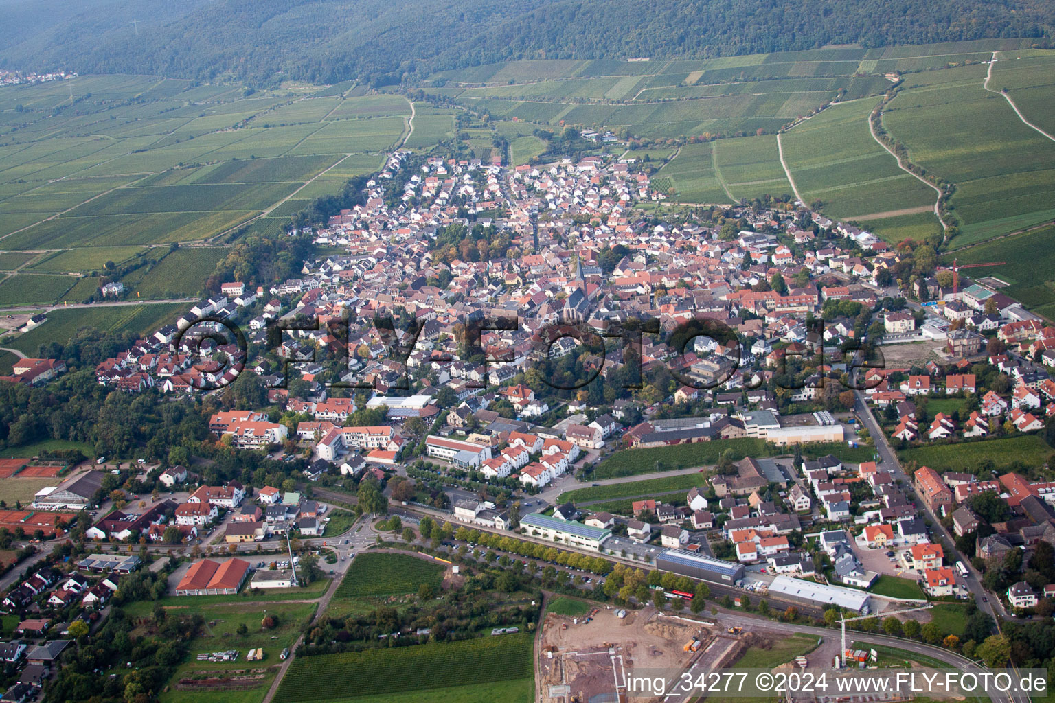 Vue aérienne de Vue des rues et des maisons des quartiers résidentiels à Deidesheim dans le département Rhénanie-Palatinat, Allemagne