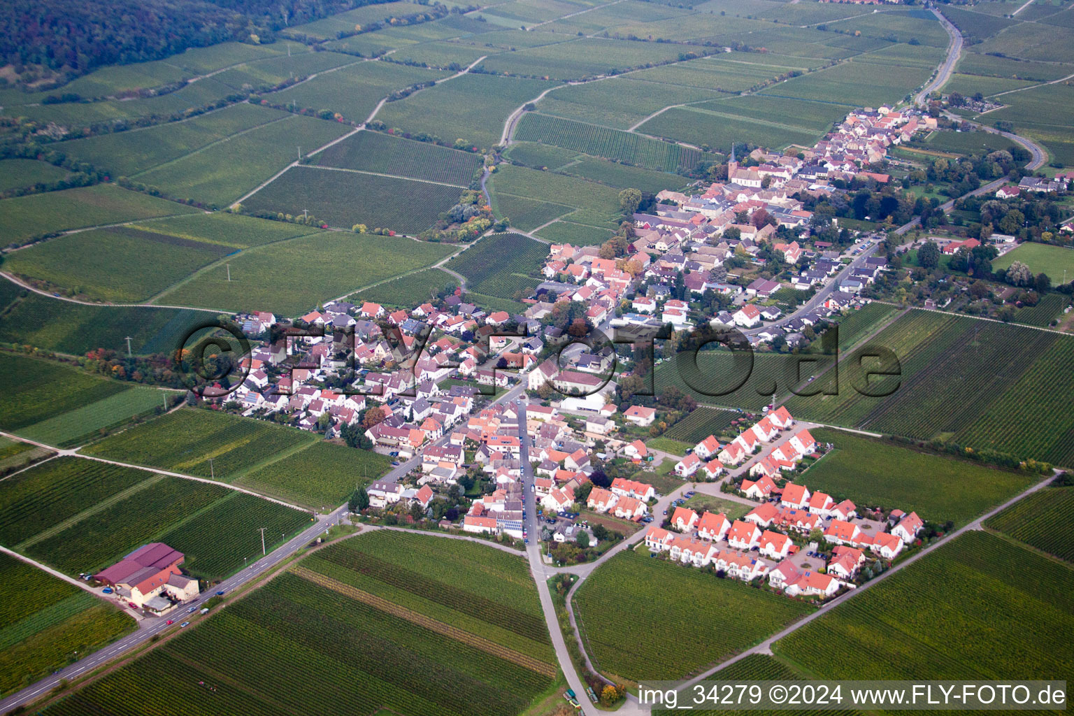 Forst an der Weinstraße dans le département Rhénanie-Palatinat, Allemagne vue d'en haut