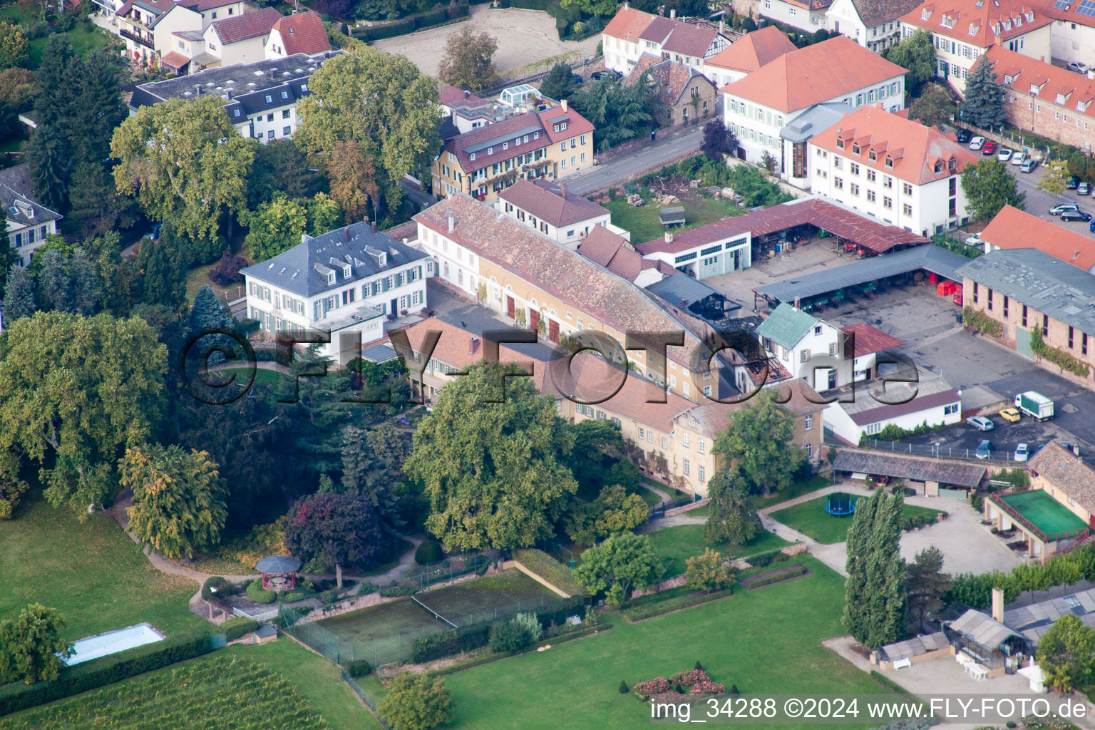 Wachenheim an der Weinstraße dans le département Rhénanie-Palatinat, Allemagne vue du ciel