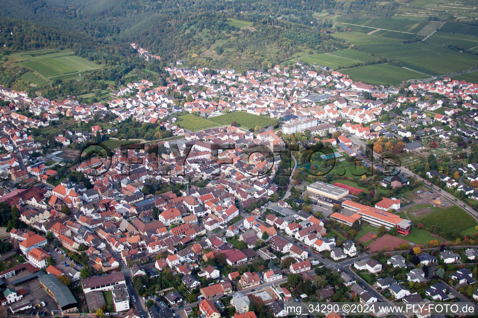 Image drone de Wachenheim an der Weinstraße dans le département Rhénanie-Palatinat, Allemagne