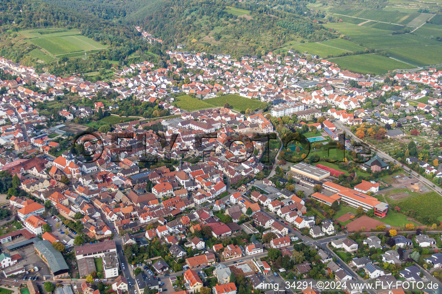Photographie aérienne de Vue des rues et des maisons des quartiers résidentiels à Wachenheim an der Weinstraße dans le département Rhénanie-Palatinat, Allemagne