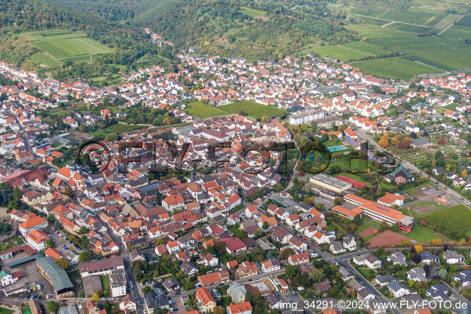 Photographie aérienne de Vue des rues et des maisons des quartiers résidentiels à le quartier Wachenheim in Wachenheim an der Weinstraße dans le département Rhénanie-Palatinat, Allemagne