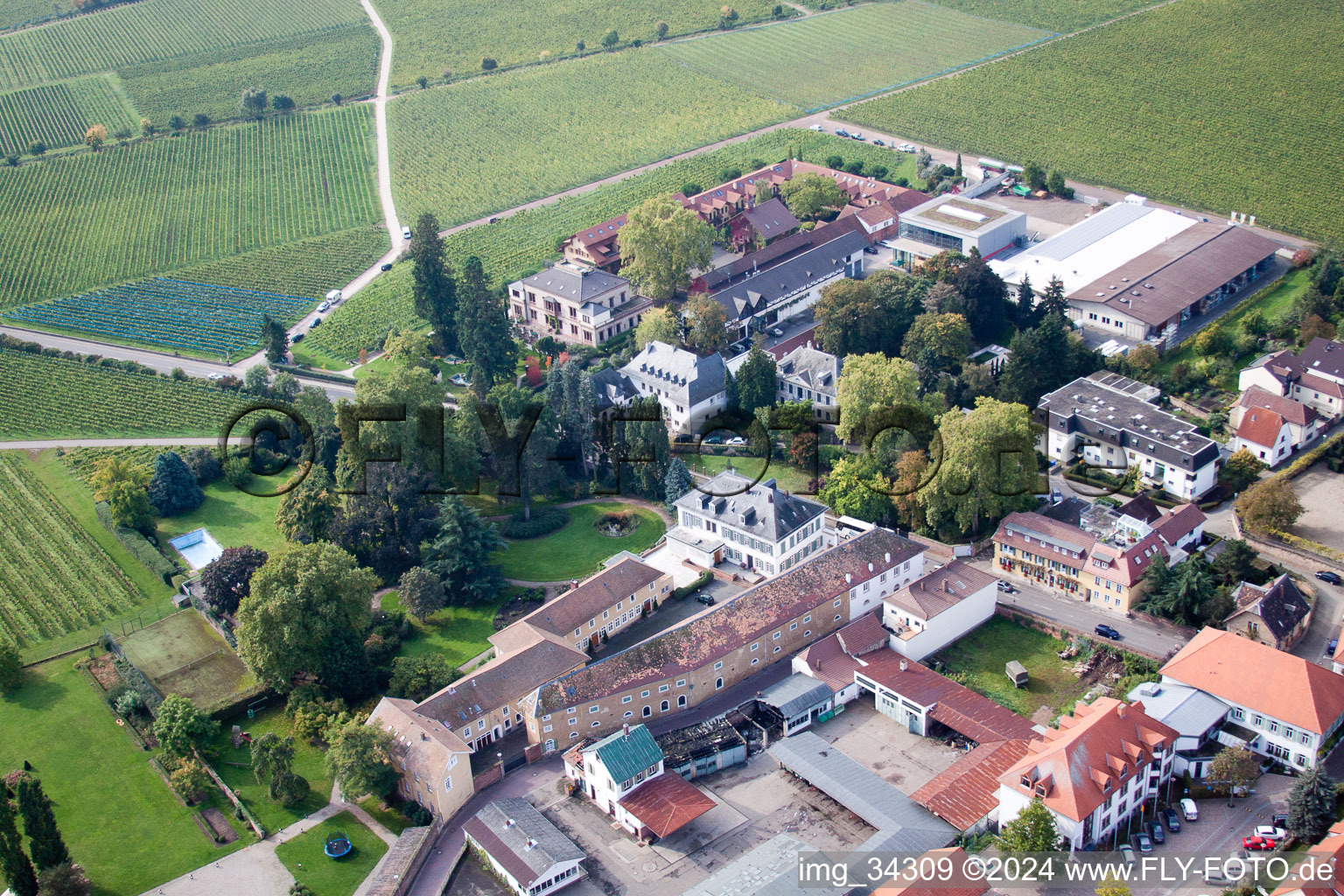 Wachenheim an der Weinstraße dans le département Rhénanie-Palatinat, Allemagne d'un drone