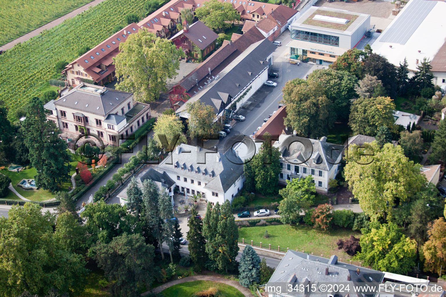 Vue aérienne de Wachenheim an der Weinstraße dans le département Rhénanie-Palatinat, Allemagne