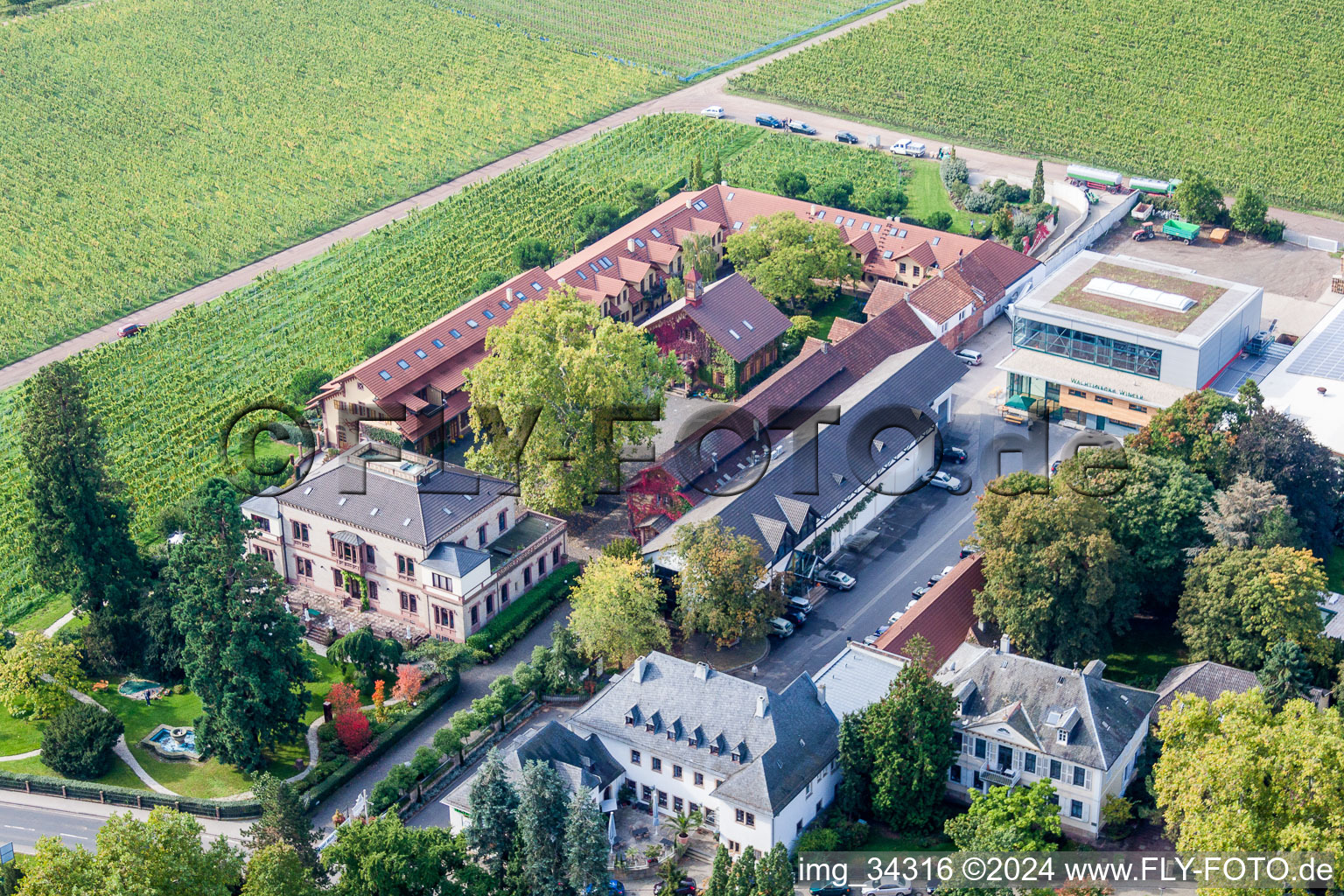 Photographie aérienne de Bâtiments et parcs du domaine viticole Dr. Loup de Bürklin à le quartier Wachenheim in Wachenheim an der Weinstraße dans le département Rhénanie-Palatinat, Allemagne