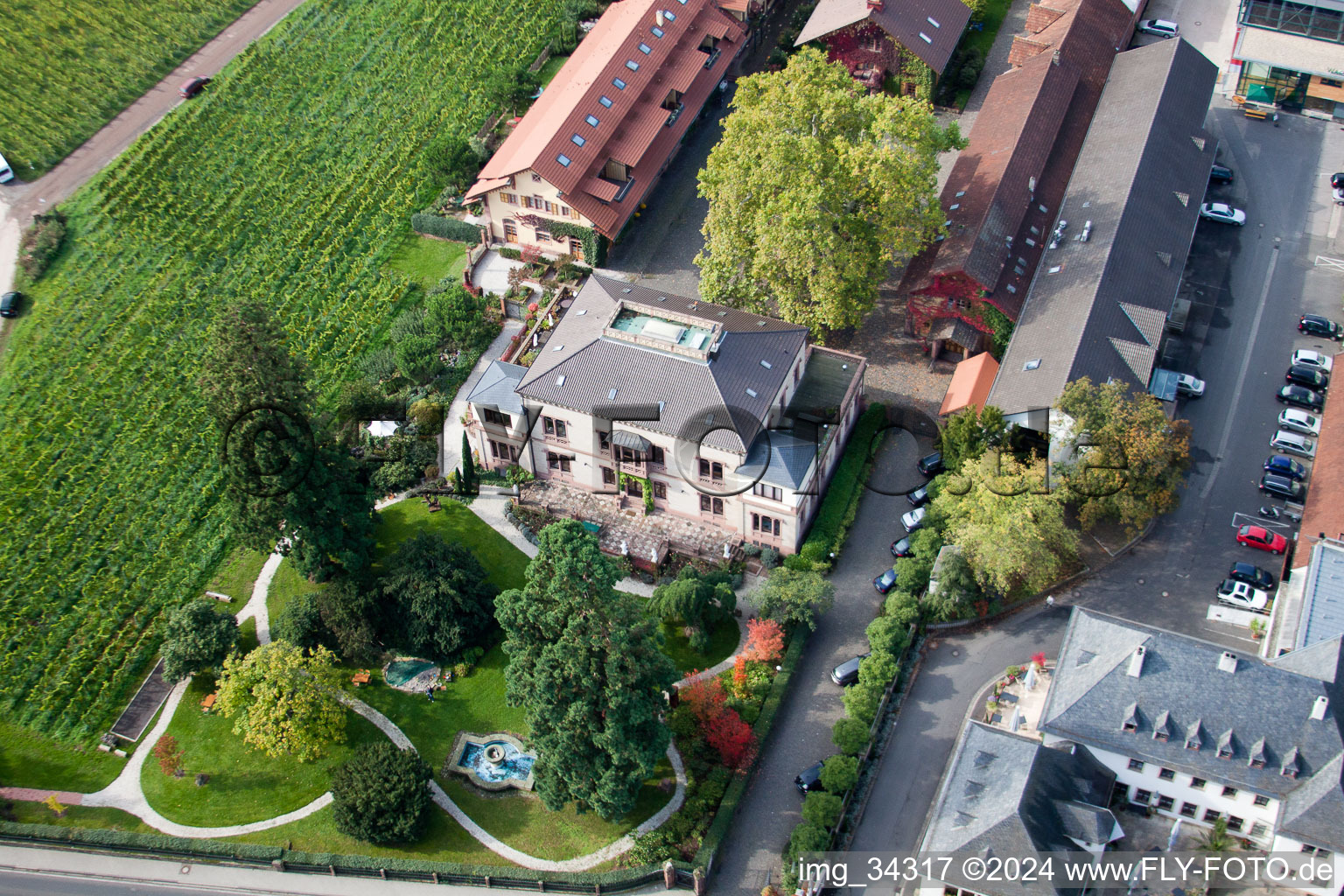 Photographie aérienne de Wachenheim an der Weinstraße dans le département Rhénanie-Palatinat, Allemagne