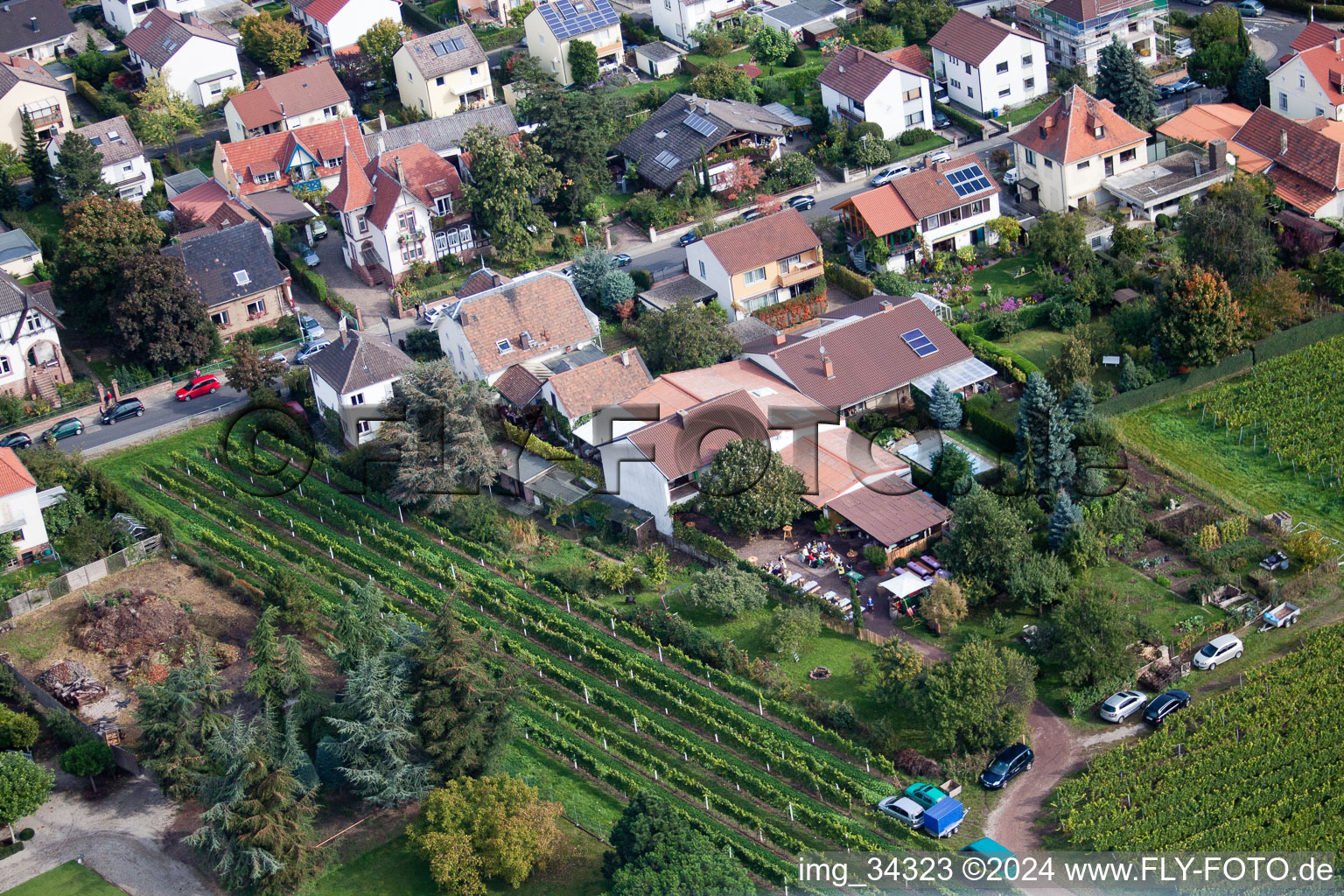 Les journées de la pomme de Zimmermann à Wachenheim an der Weinstraße dans le département Rhénanie-Palatinat, Allemagne d'en haut